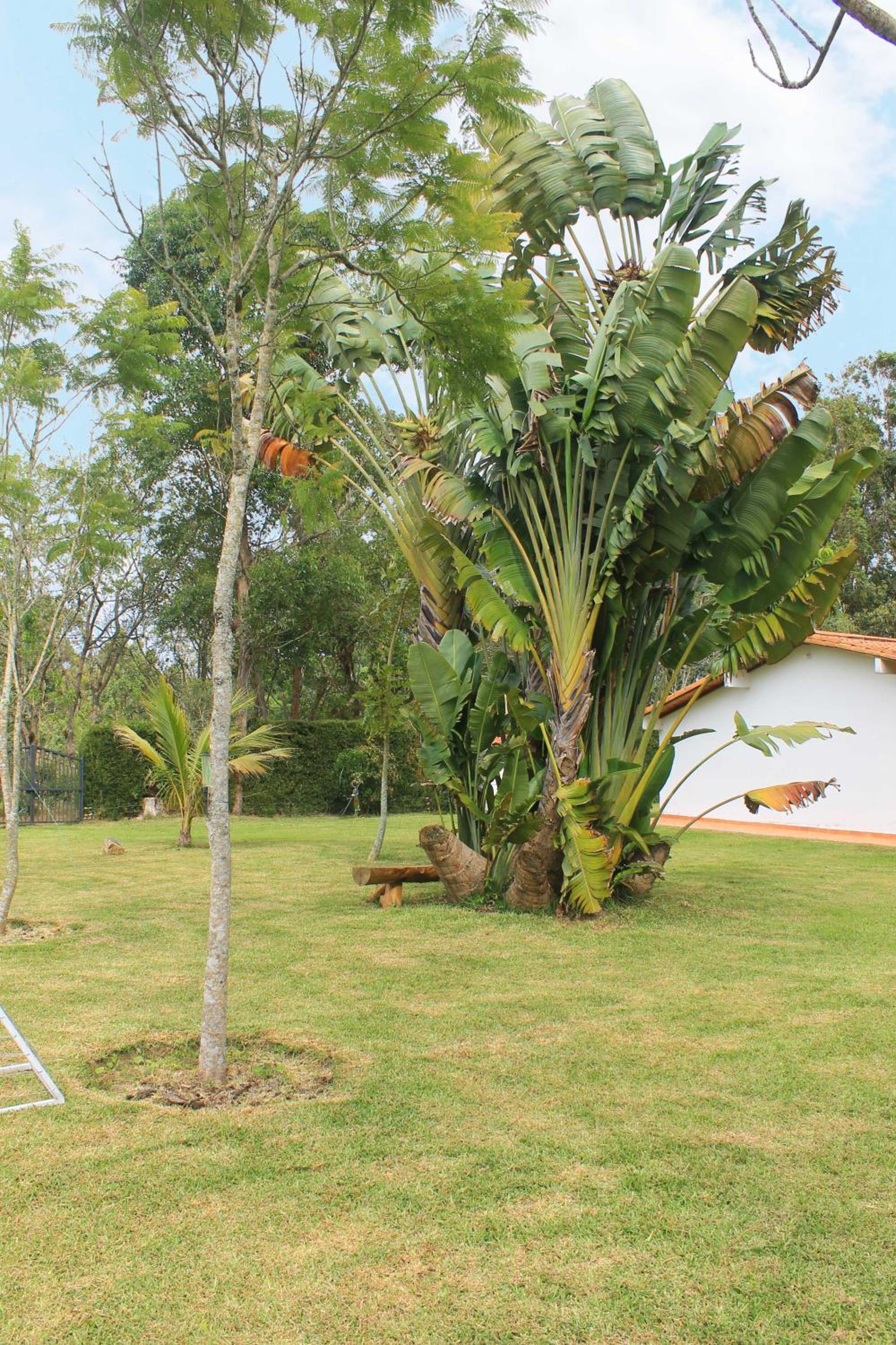 Posada Oye Bonita, Mesa de los Santos, Santander, Colombia