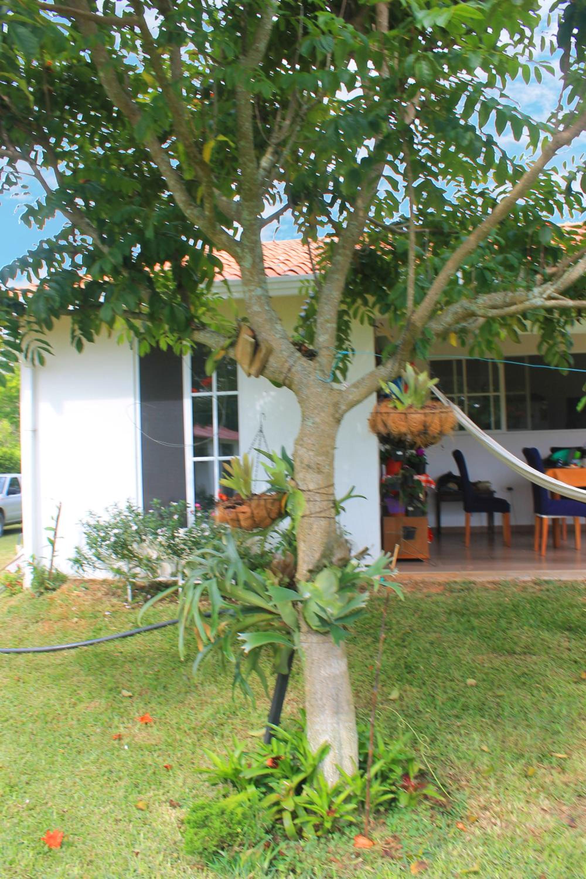 Posada Oye Bonita, Mesa de los Santos, Santander, Colombia
