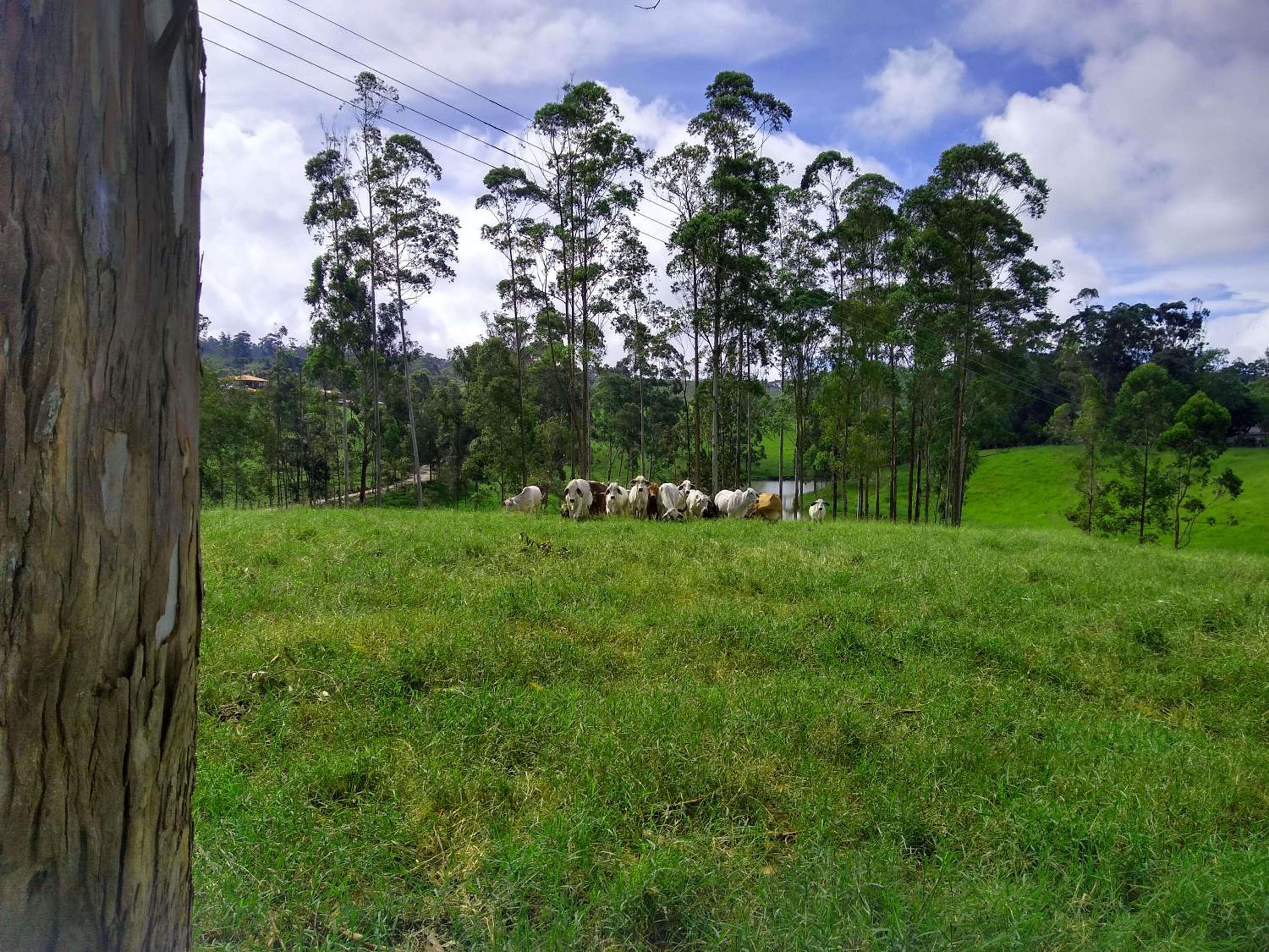 Posada Oye Bonita, Mesa de los Santos, Santander, Colombia