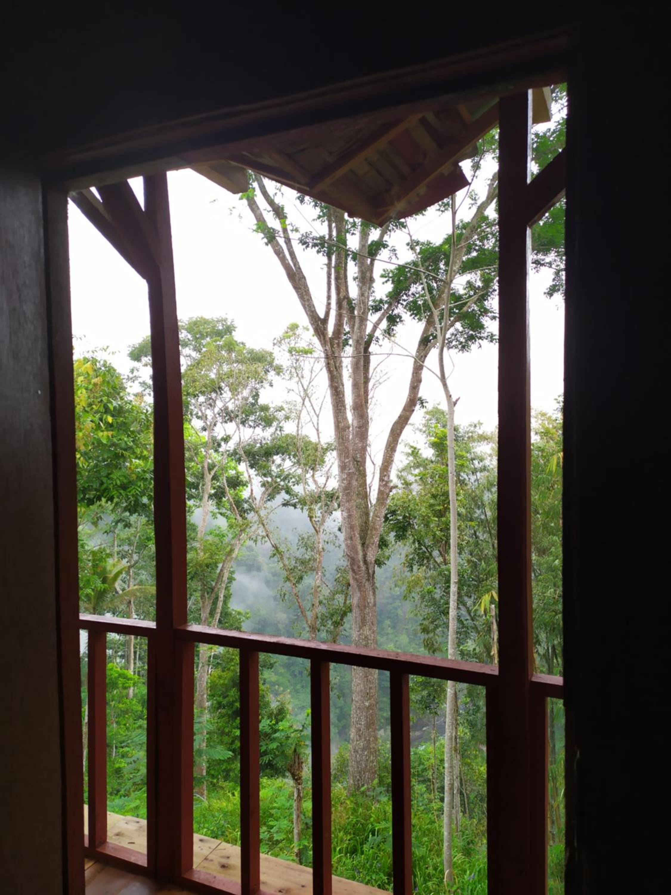 Happy Monkeys Village
