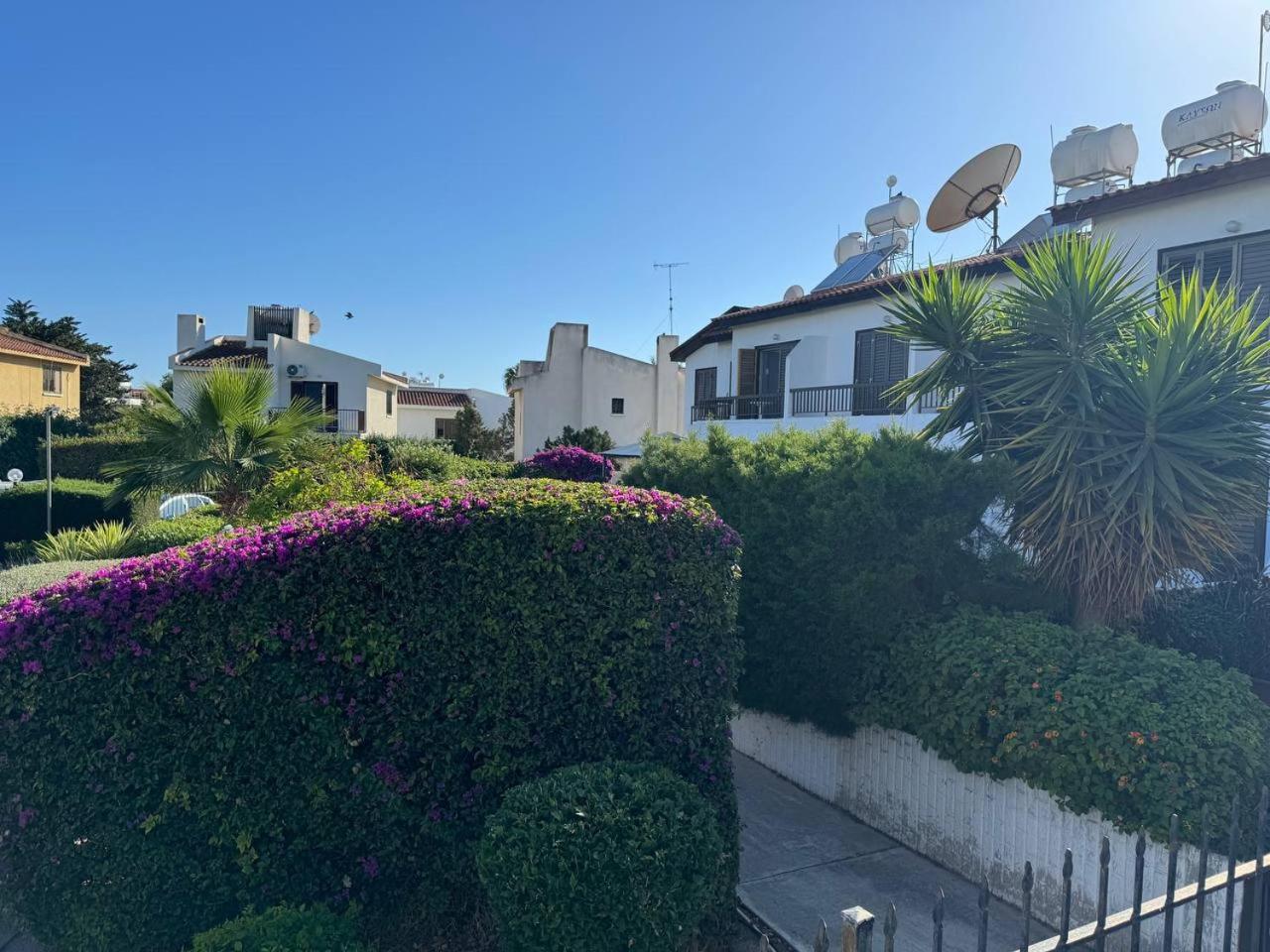 Margarita gardens