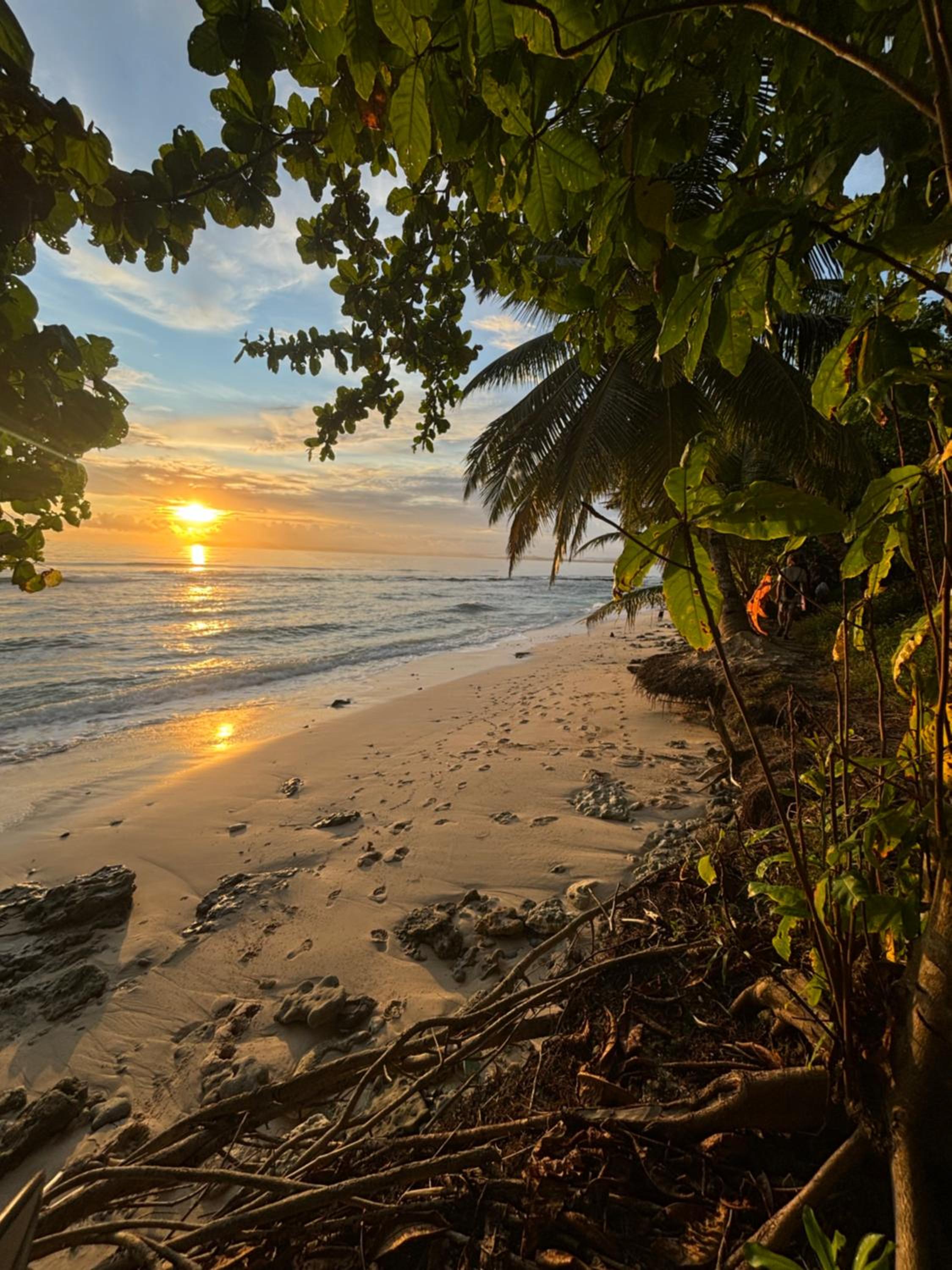 Moile Moile Surfcamp