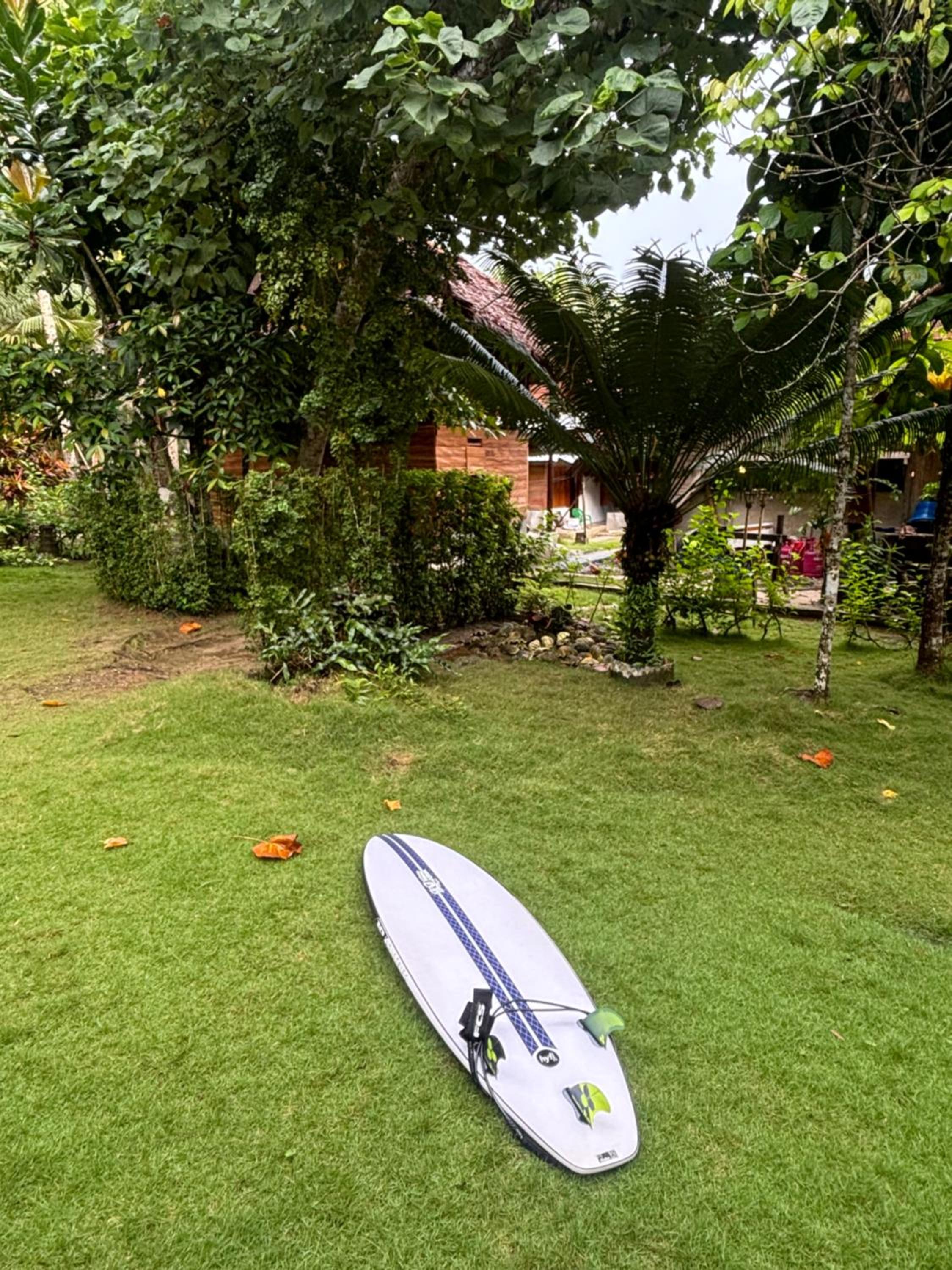 Moile Moile Surfcamp