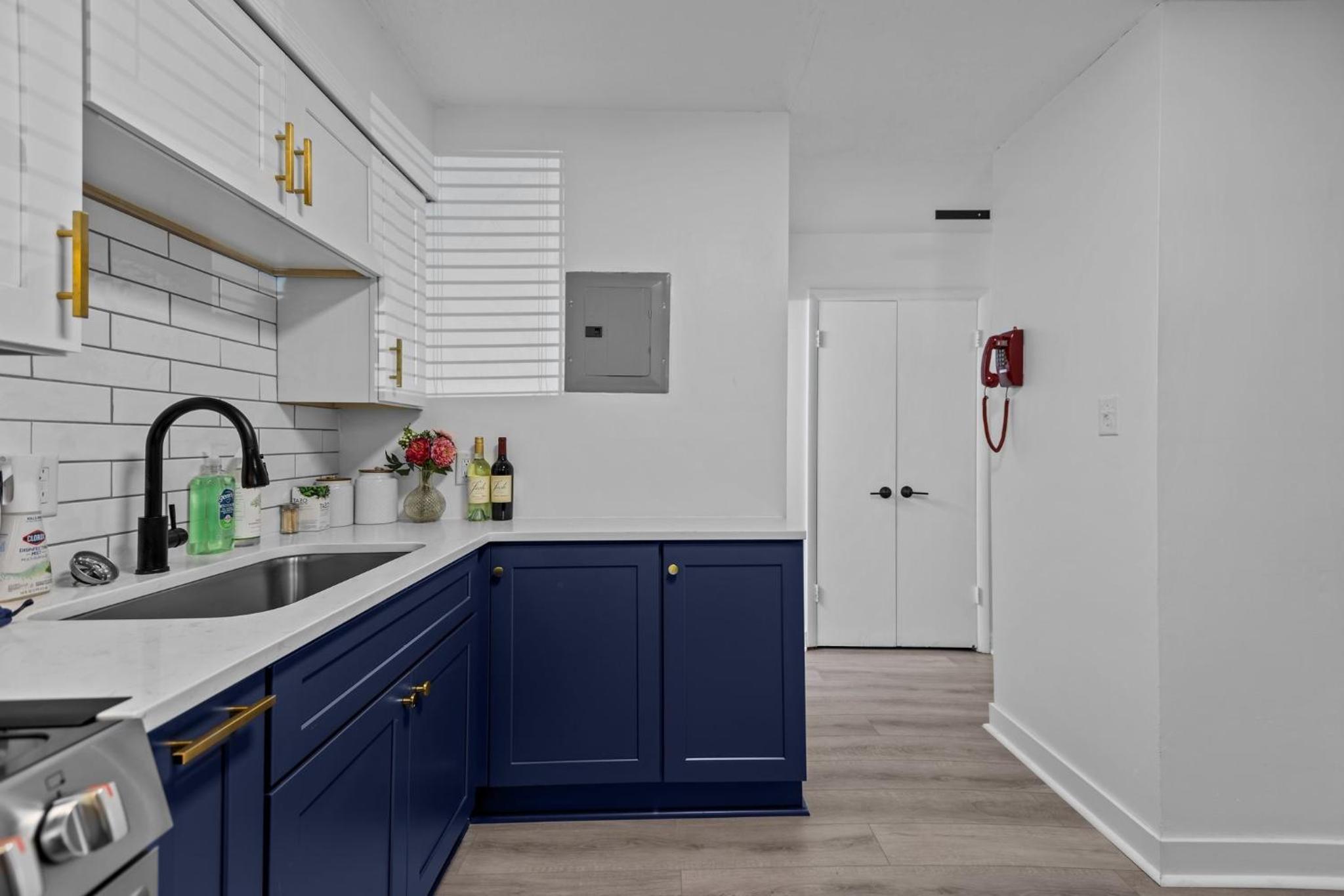 Modern 2 Bed Apartment In Chapel Hill view 4