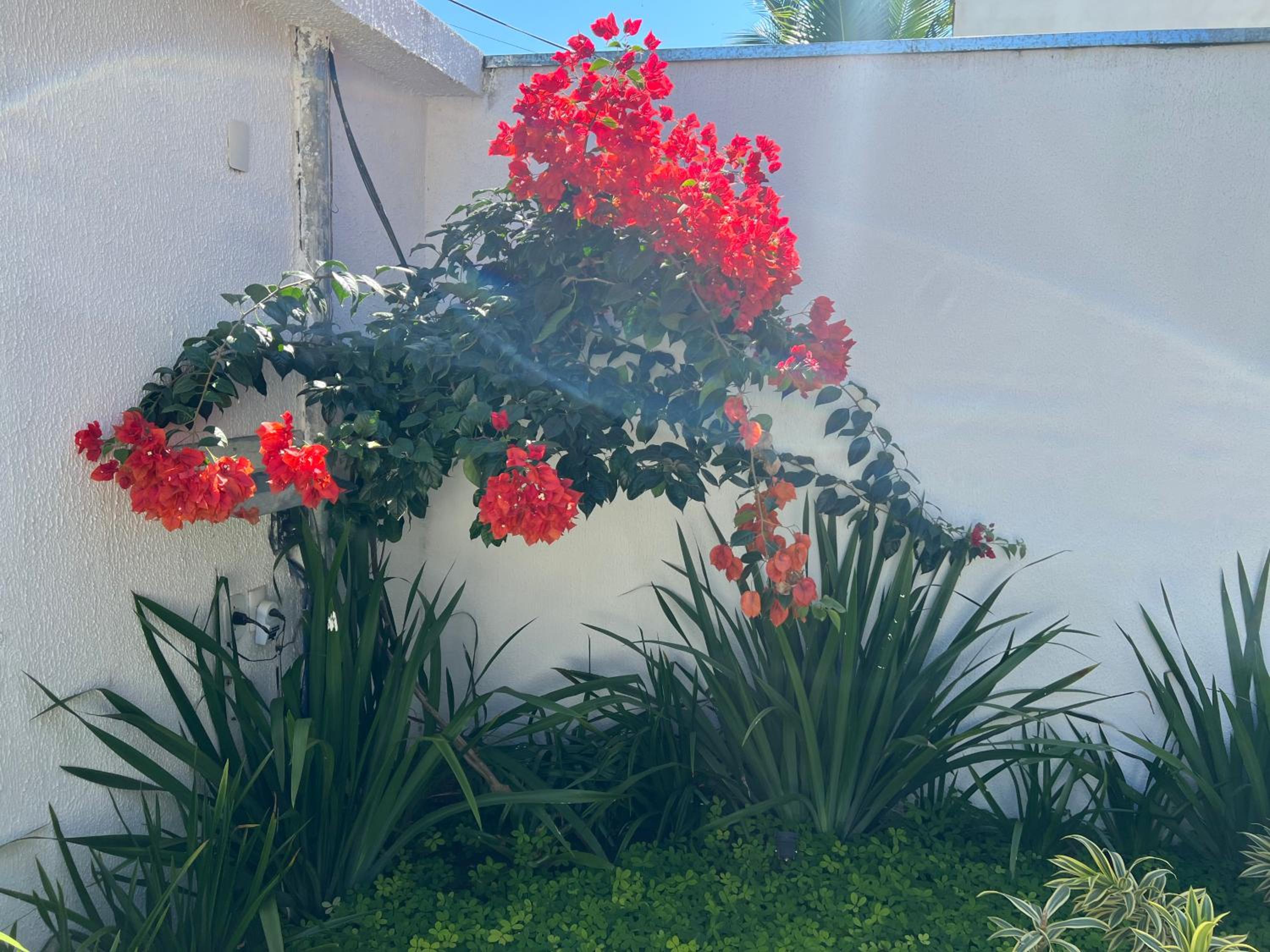 Casa TOP com piscina e Wifi