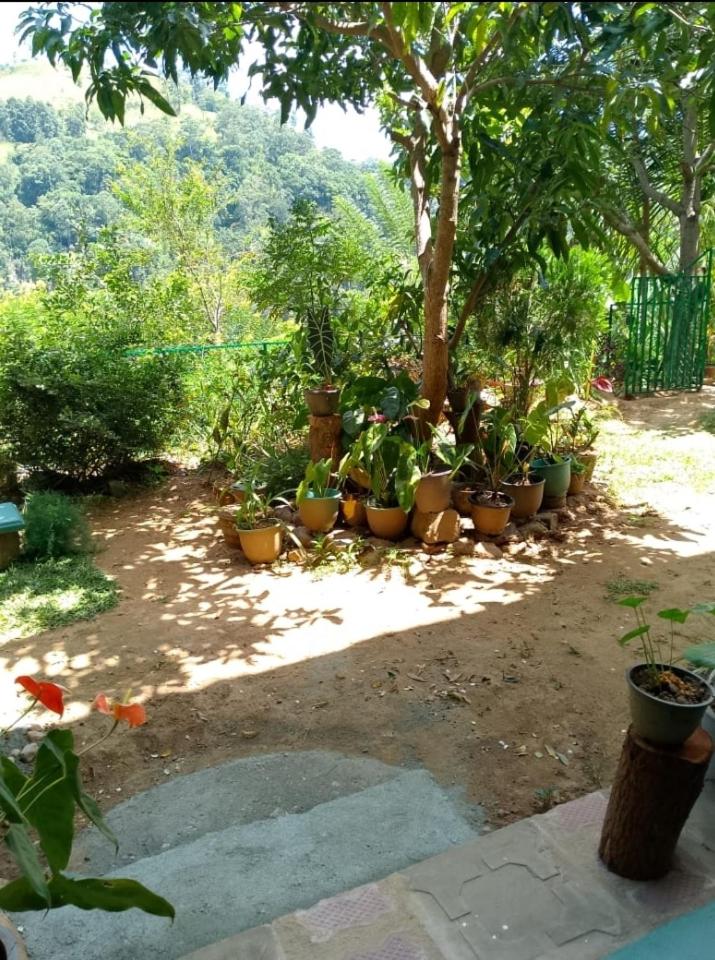 Pasan Guest view 5