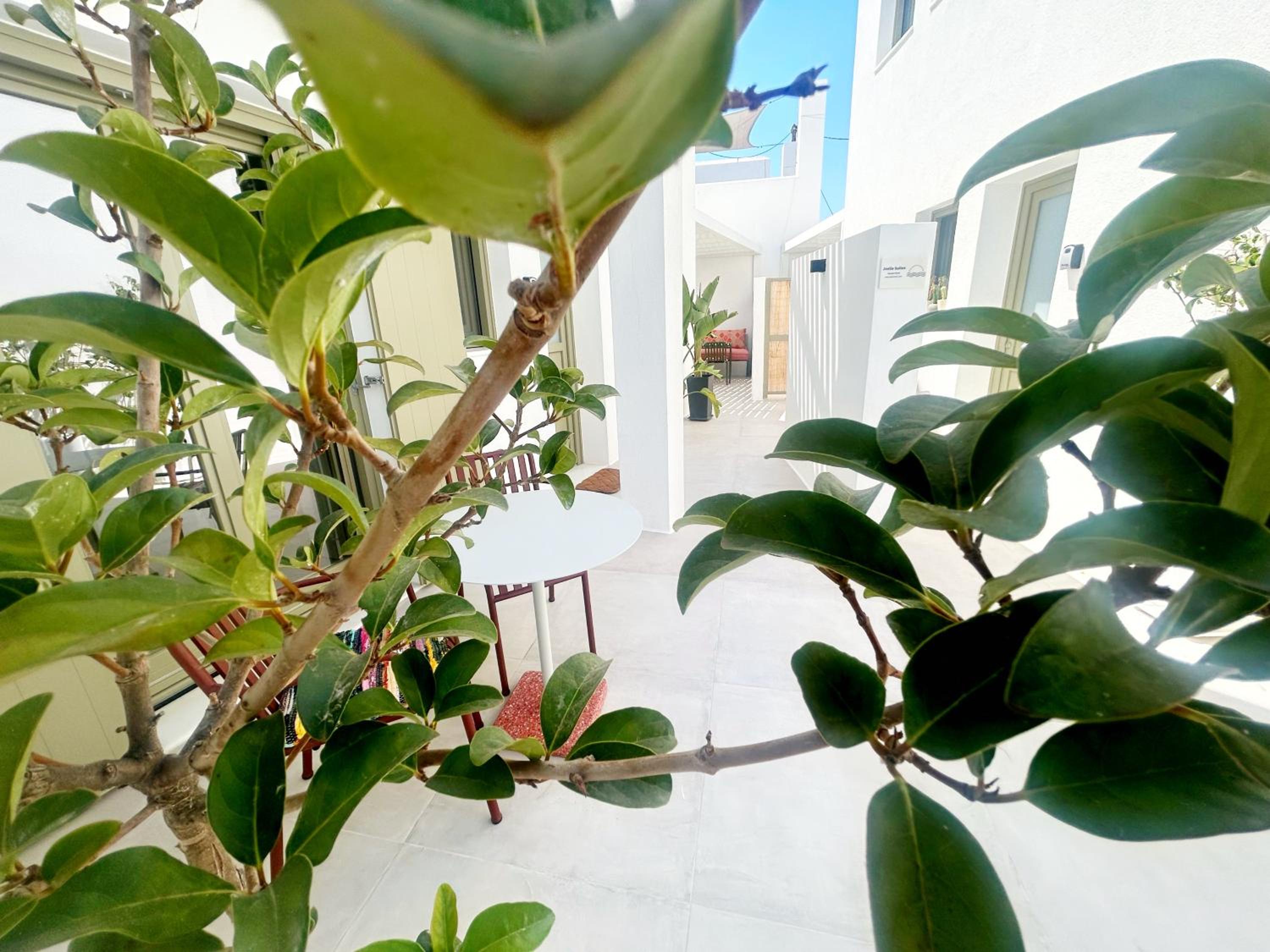 Photo 41