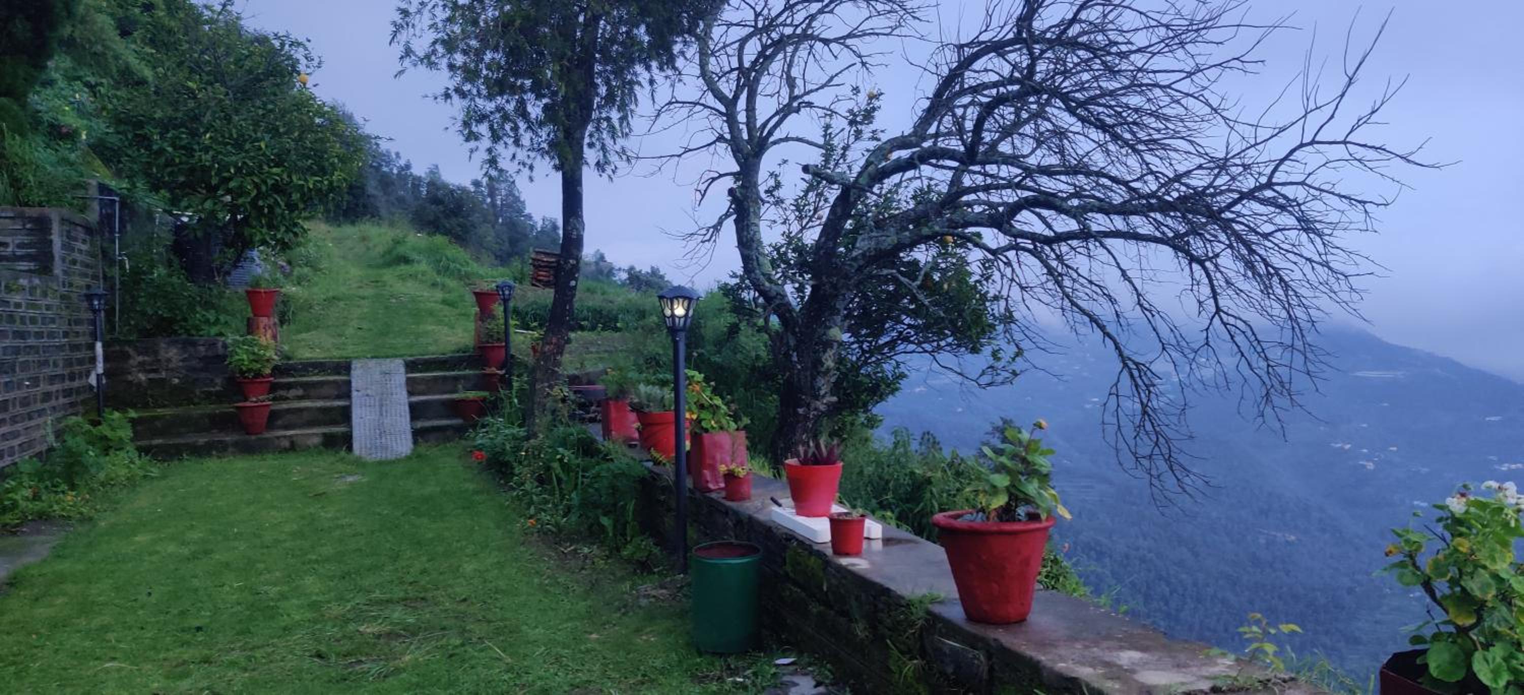 Orchard Oasis Home Stay