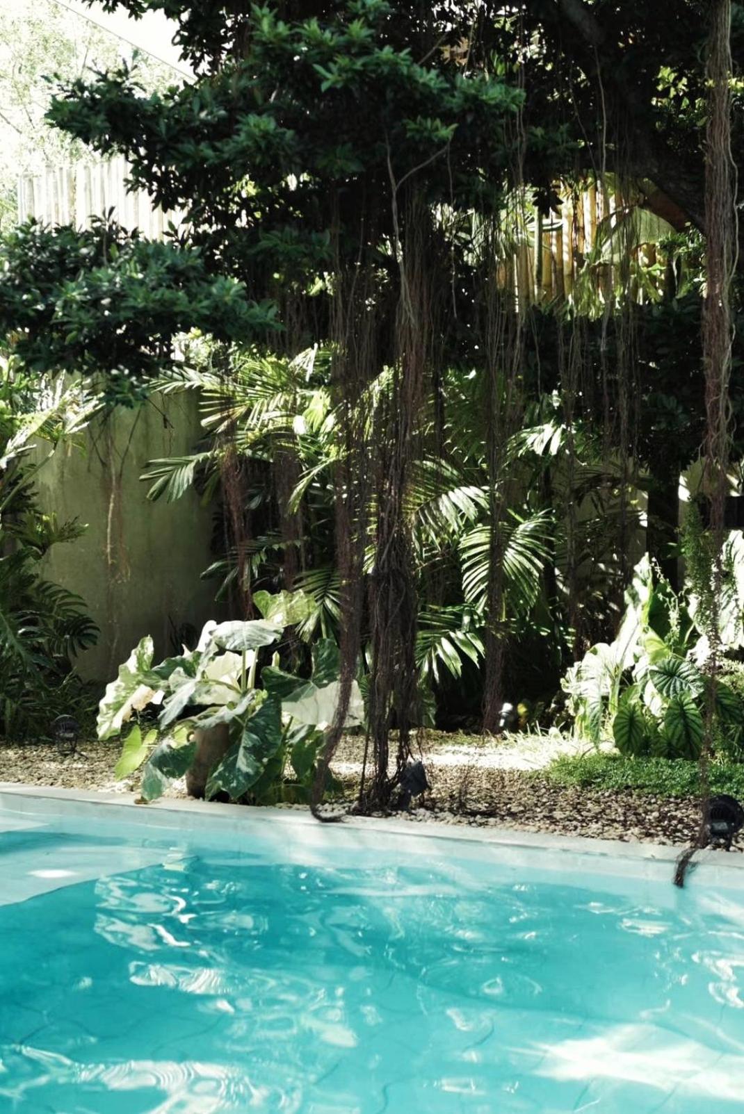 Banyan Villa Panglao with private pool