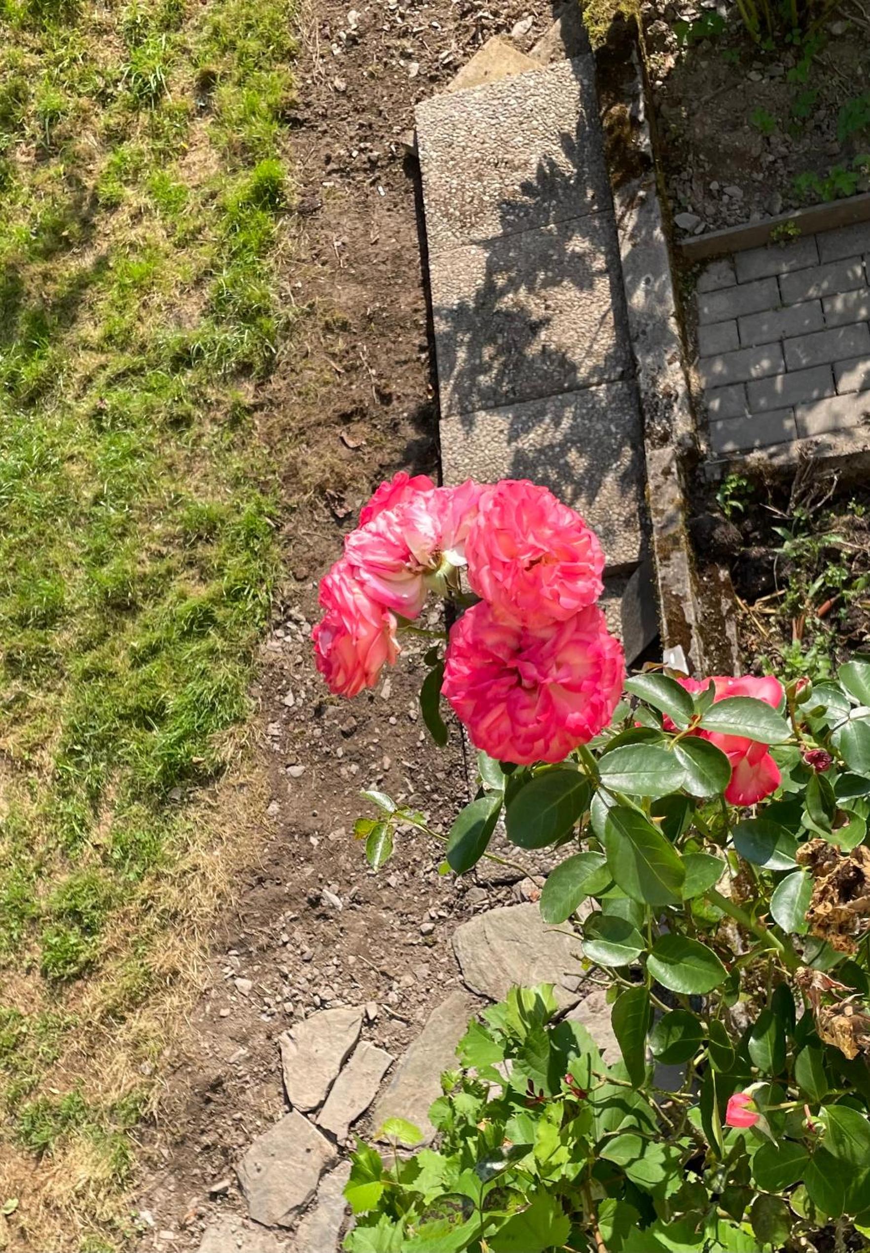 DeNi's Ferienwohnungen