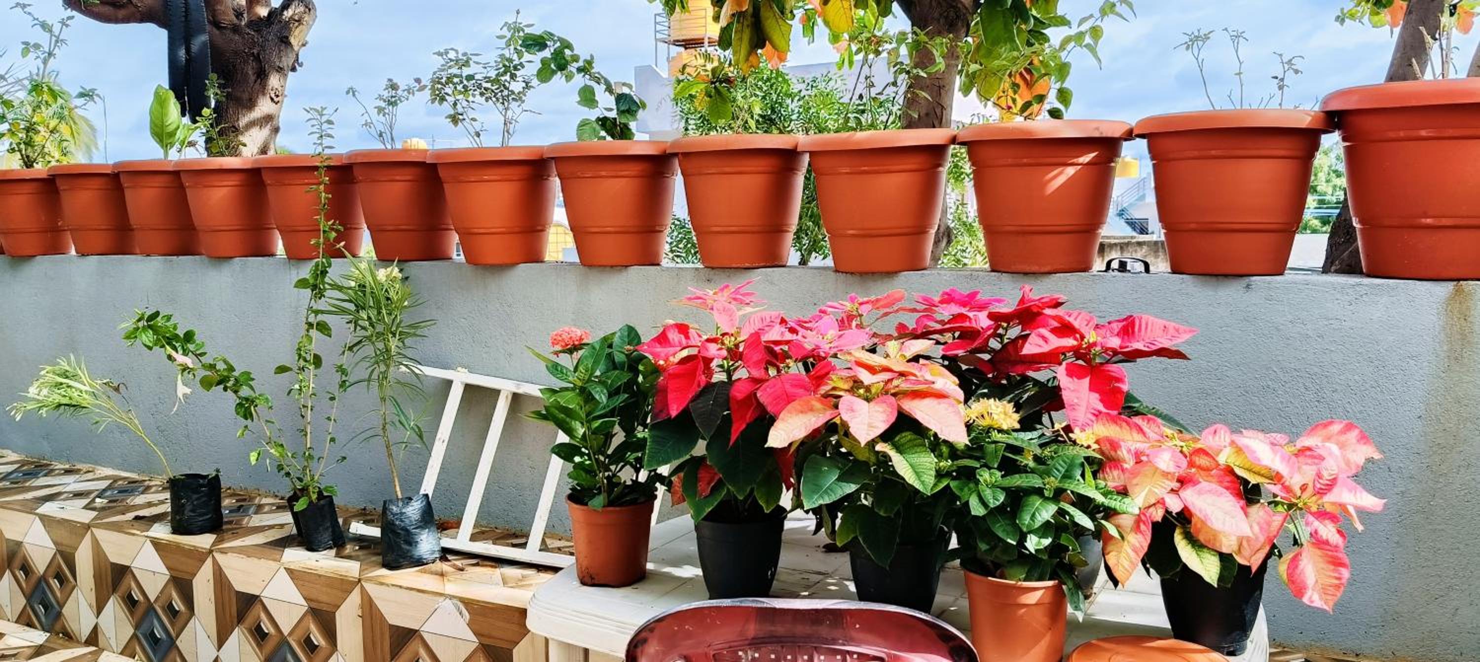 Mariette Roshni Homestay Hampi