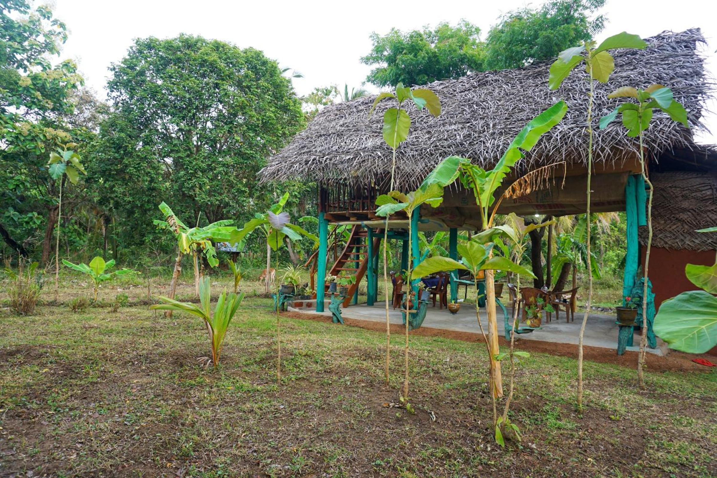 Rana Treehouse
