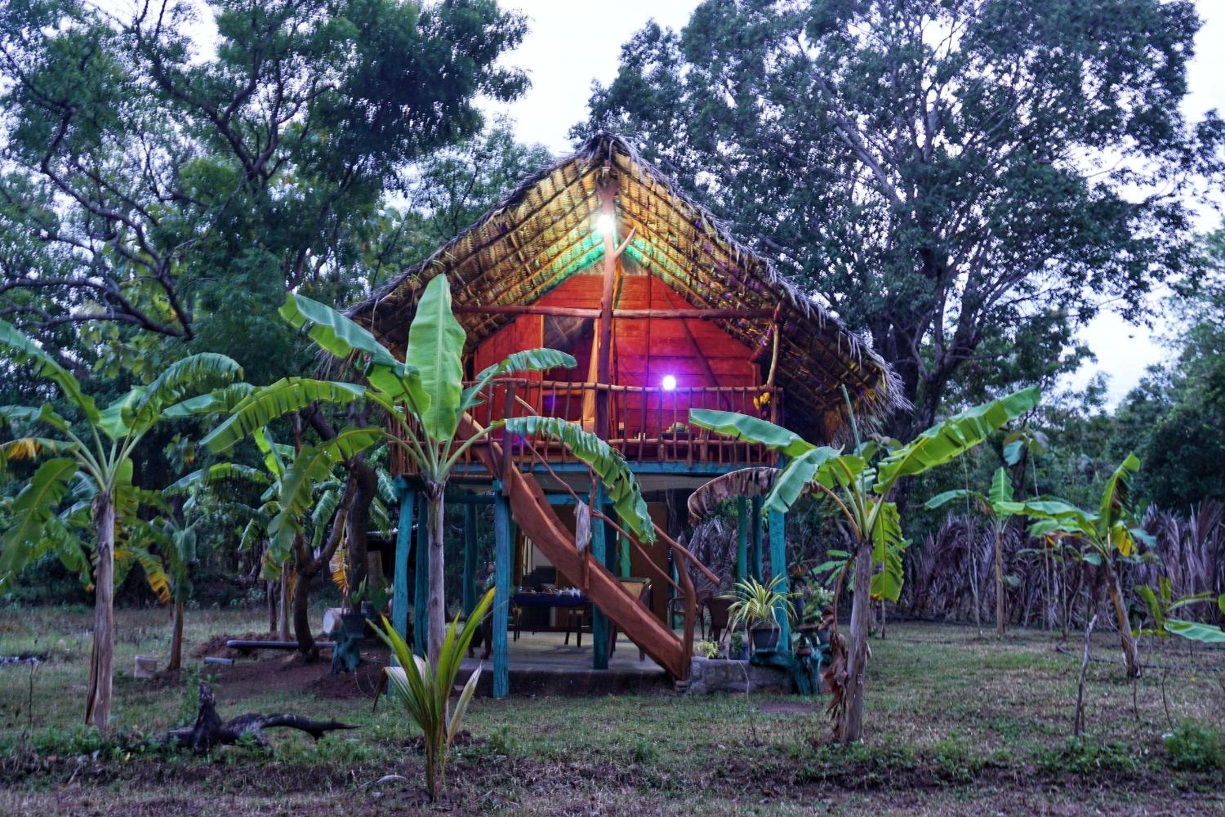 Rana Treehouse