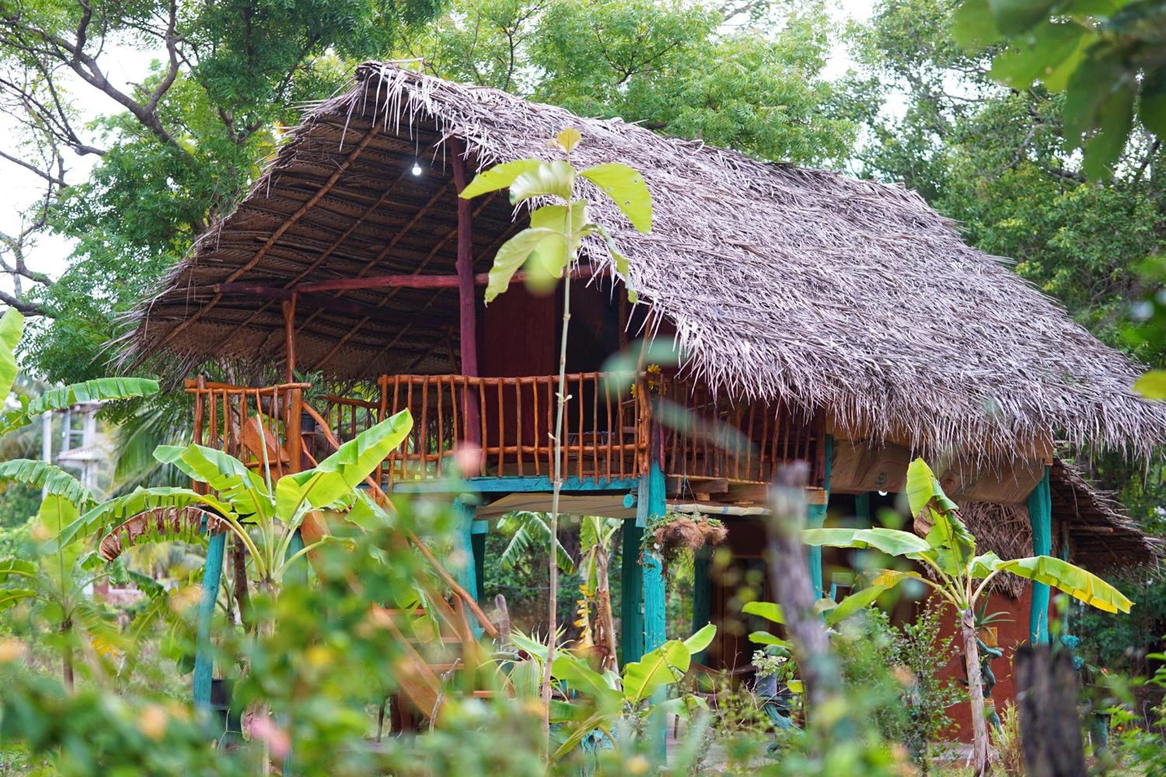 Rana Treehouse
