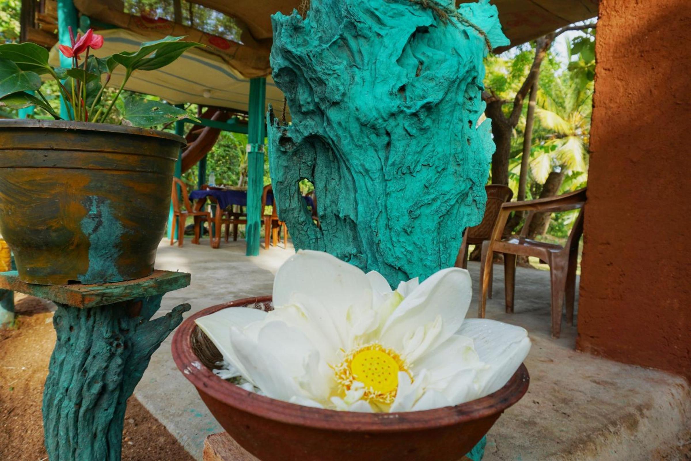 Rana Treehouse