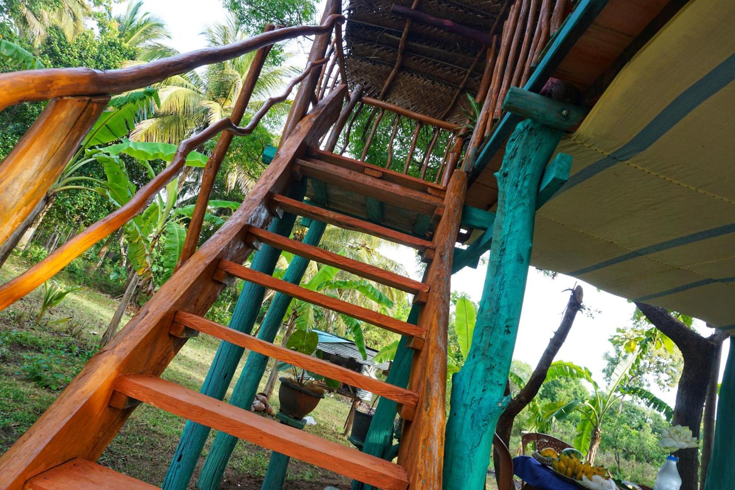 Rana Treehouse