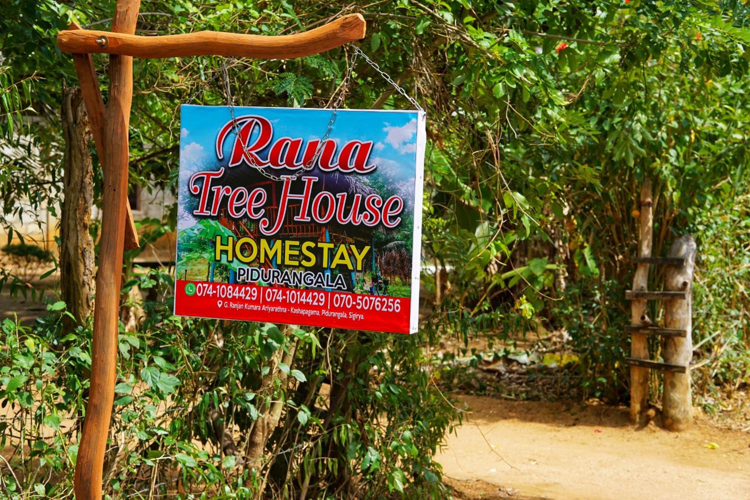 Rana Treehouse