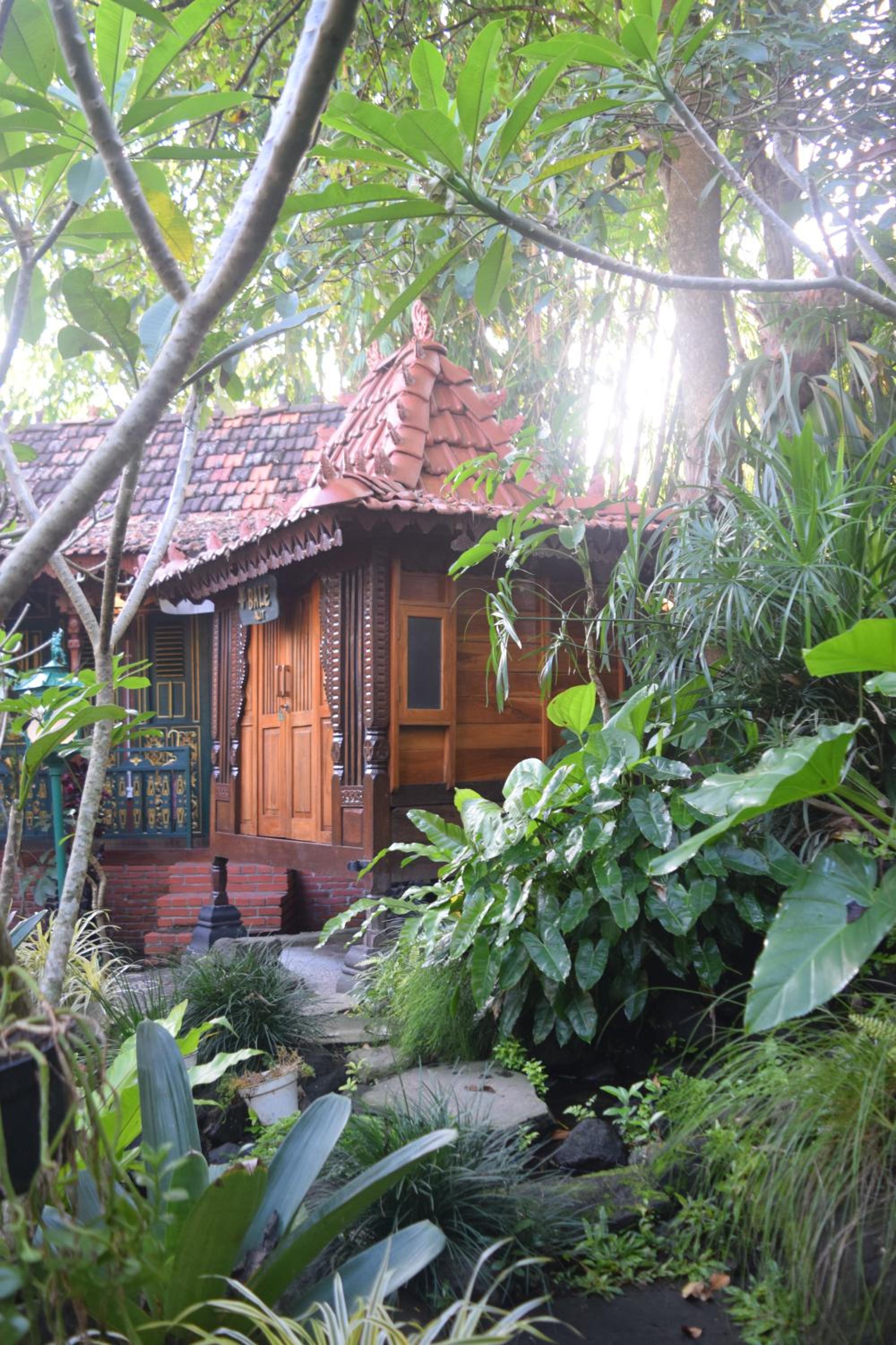 Photo 8