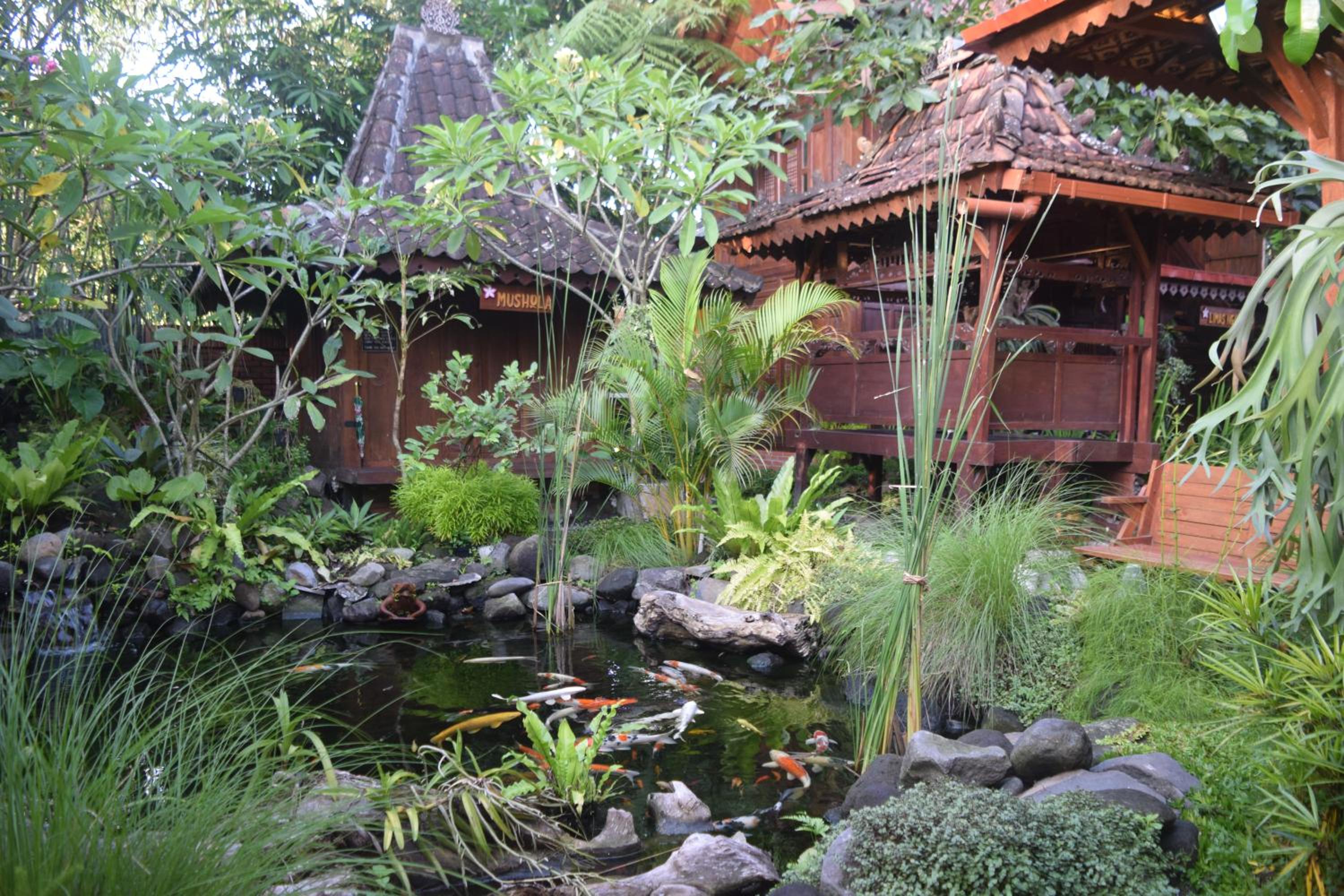Photo 9