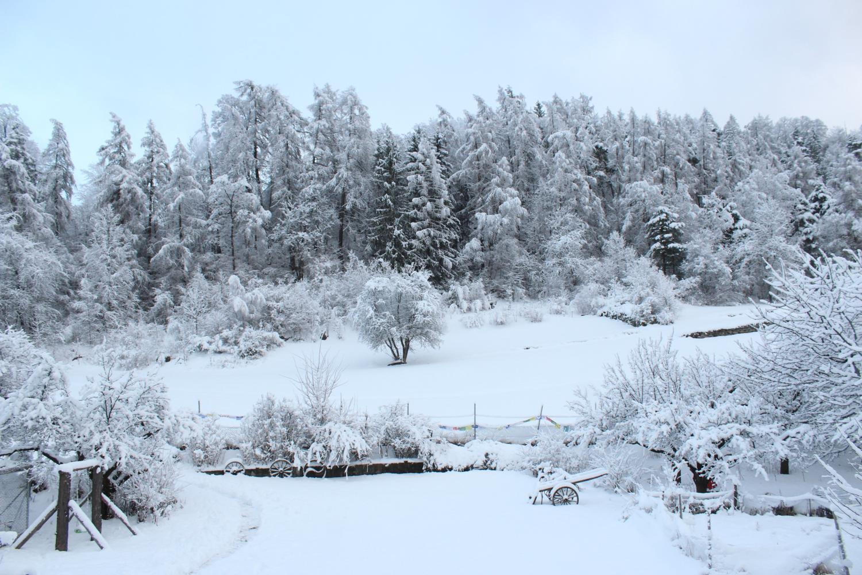 Domaine Bellevie BnB
