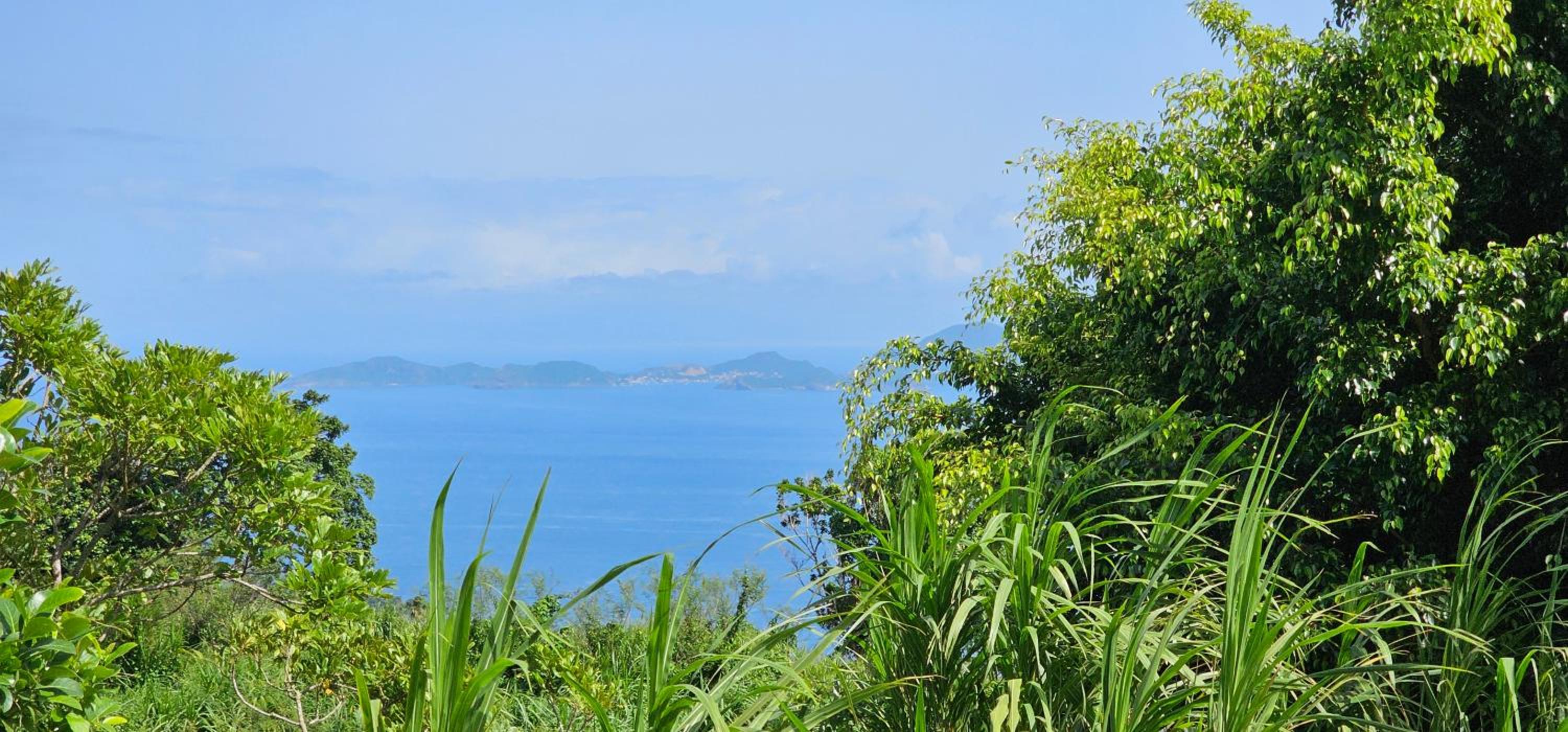 kazamango