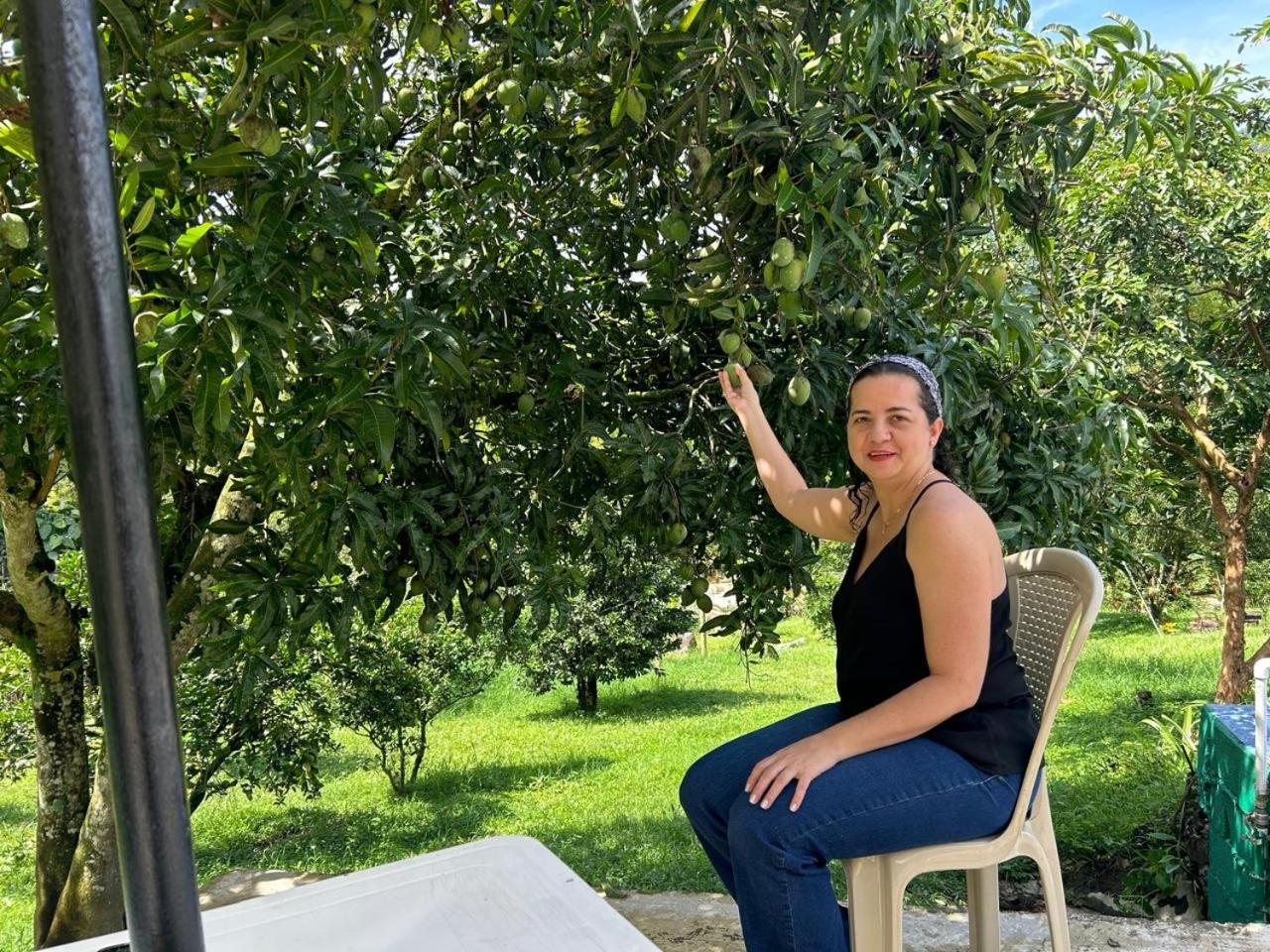 Finca el troya