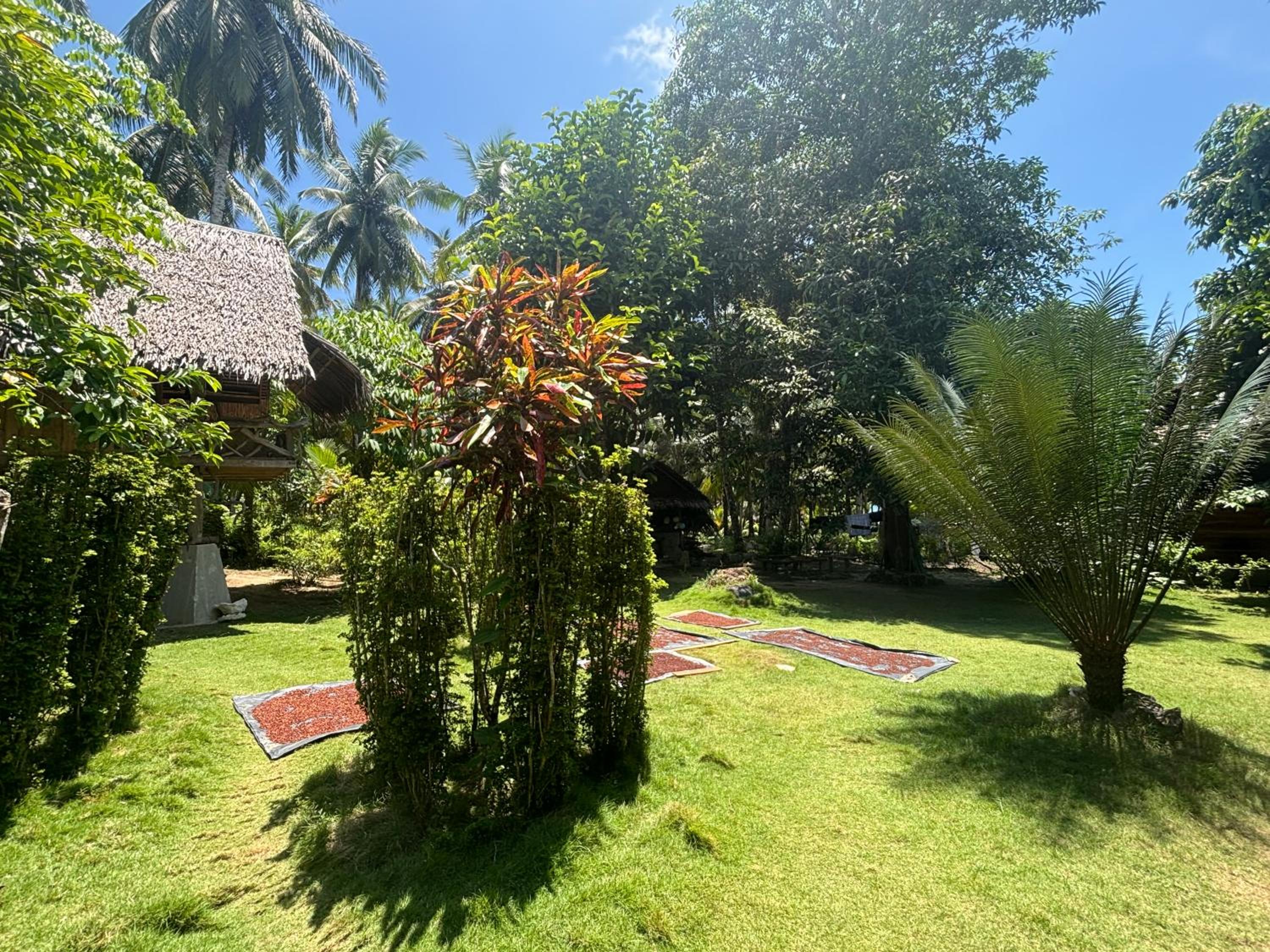 Moile Moile Surfcamp