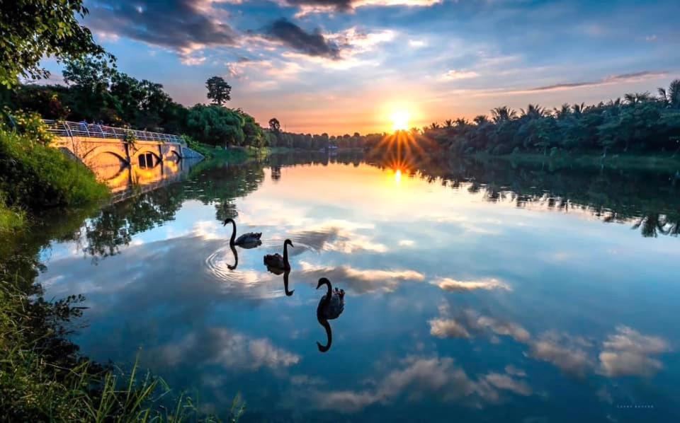 Haven in Hanoi - Brand new, super green and amazing sunset view homestay 20min by bus to Hanoi center