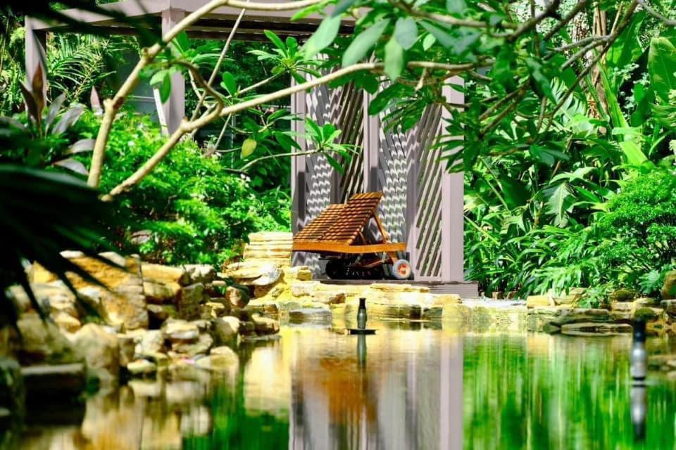 Haven in Hanoi - Brand new, super green and amazing sunset view homestay 20min by bus to Hanoi center
