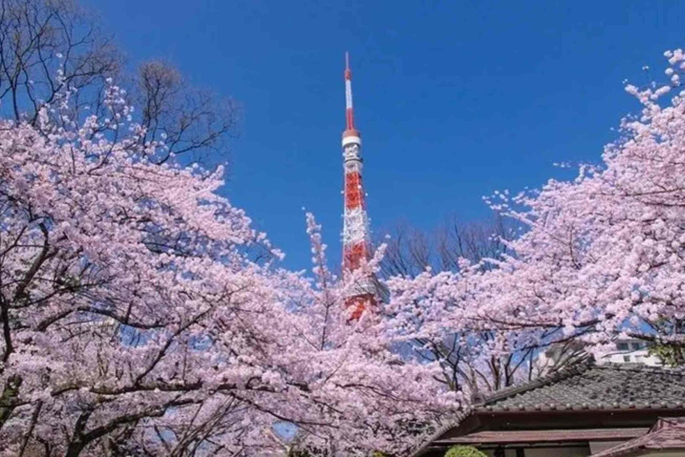 Five room 120 SKY TREE SENSOJI FreeParking 1292sqft