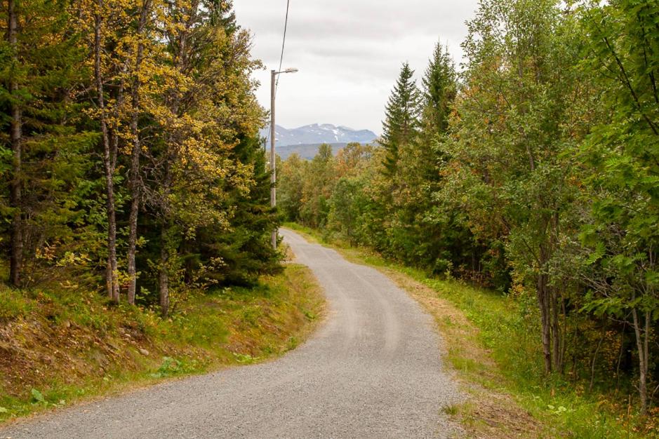 Rom til leie i Tromsø - nært alt - flott standard