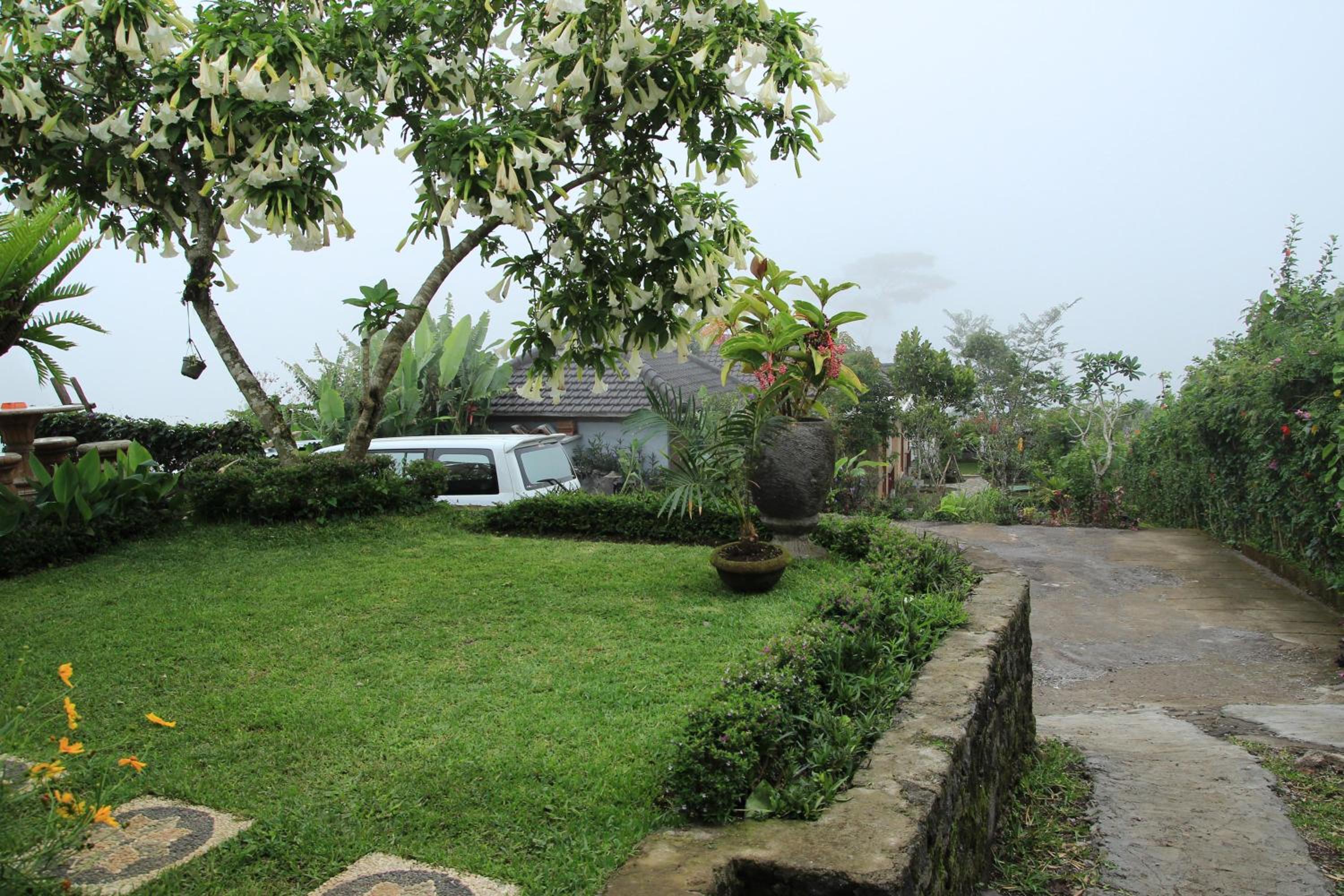 Terrasse du Lac Munduk