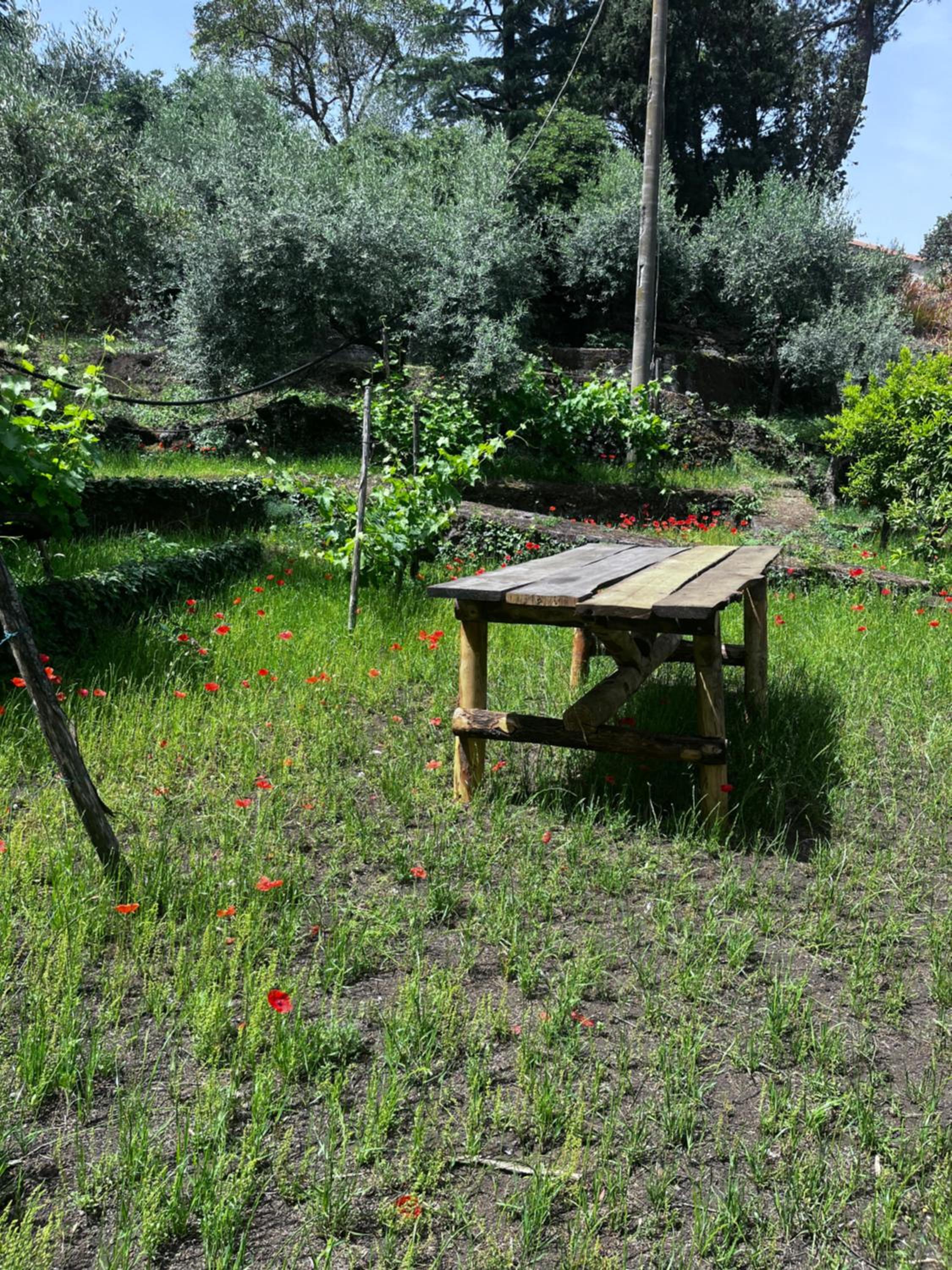 Villa Milone Etna Country House view 4