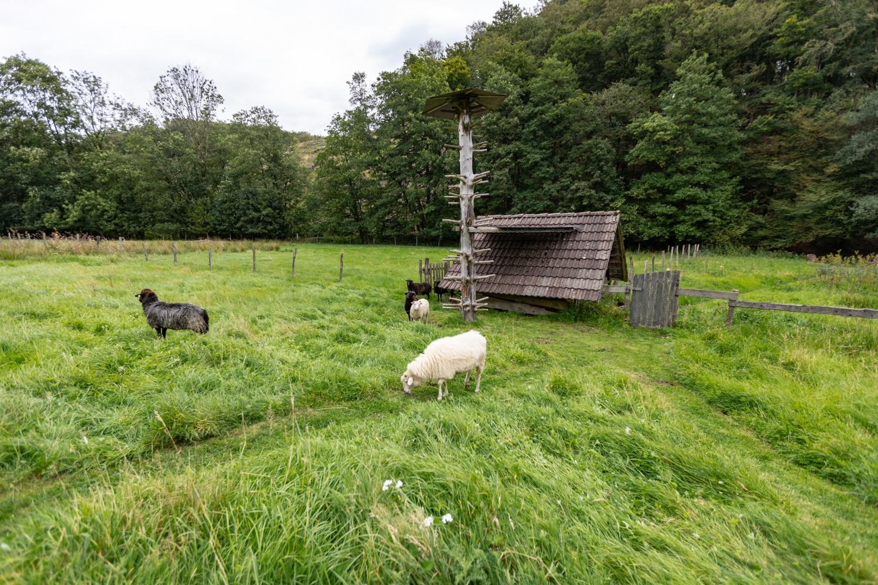 Ferienwohnung Am Quellental