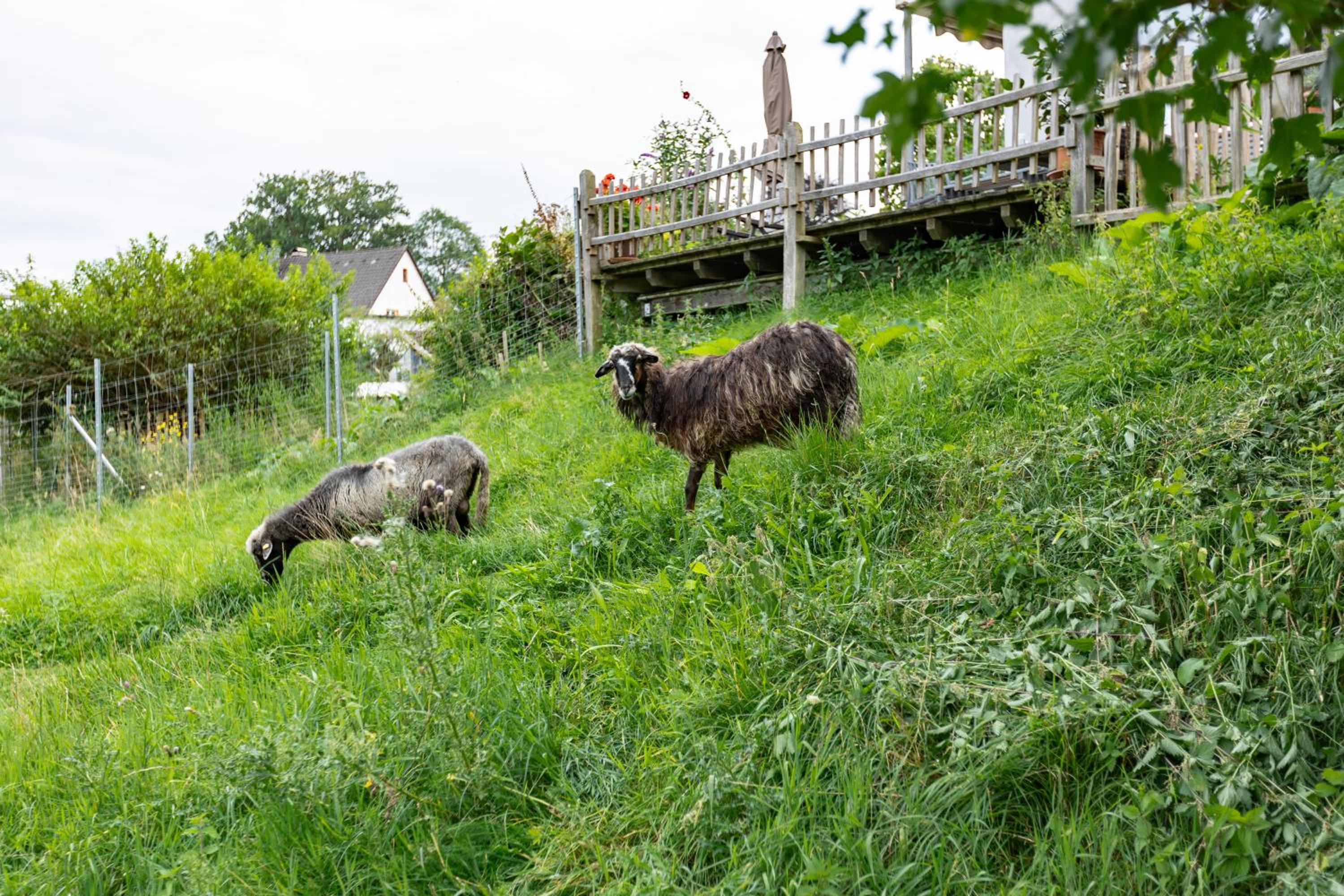 Ferienwohnung Am Quellental