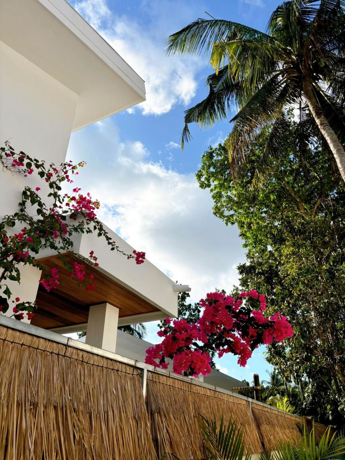 Private Pool Villa Retreat NAMU new one-bedroom 6unit view 3
