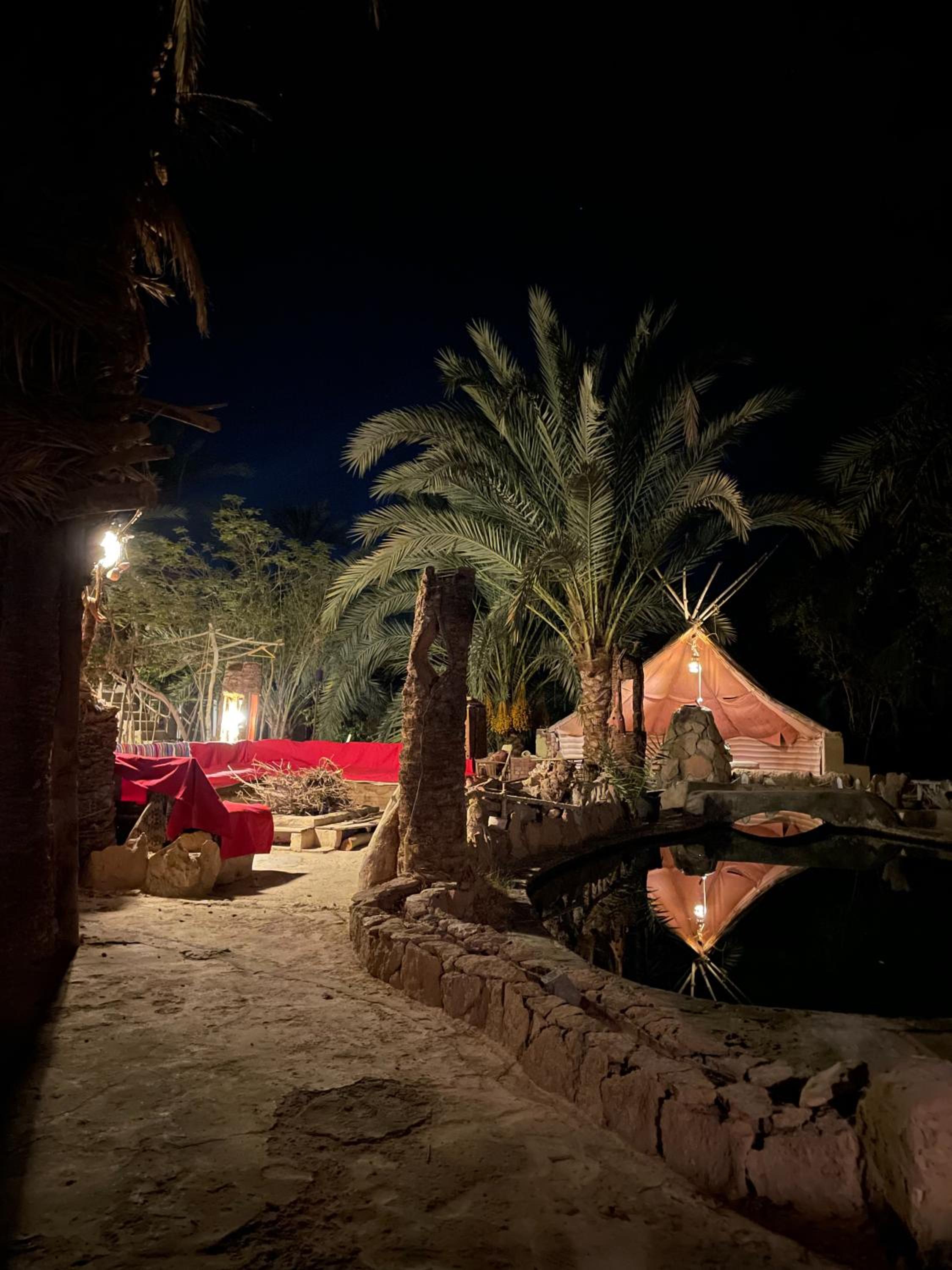 Shamofs art garden