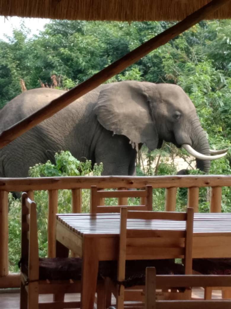 Bulbul safaris Lodge