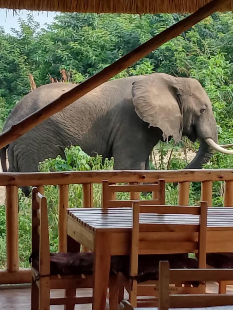 Bulbul safaris Lodge