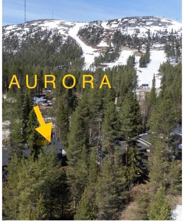 Aurora Lapland Ski in, forest view, 2 bdr, sauna, terrace, fireplace, wifi, Pyhä-Luosto National Park