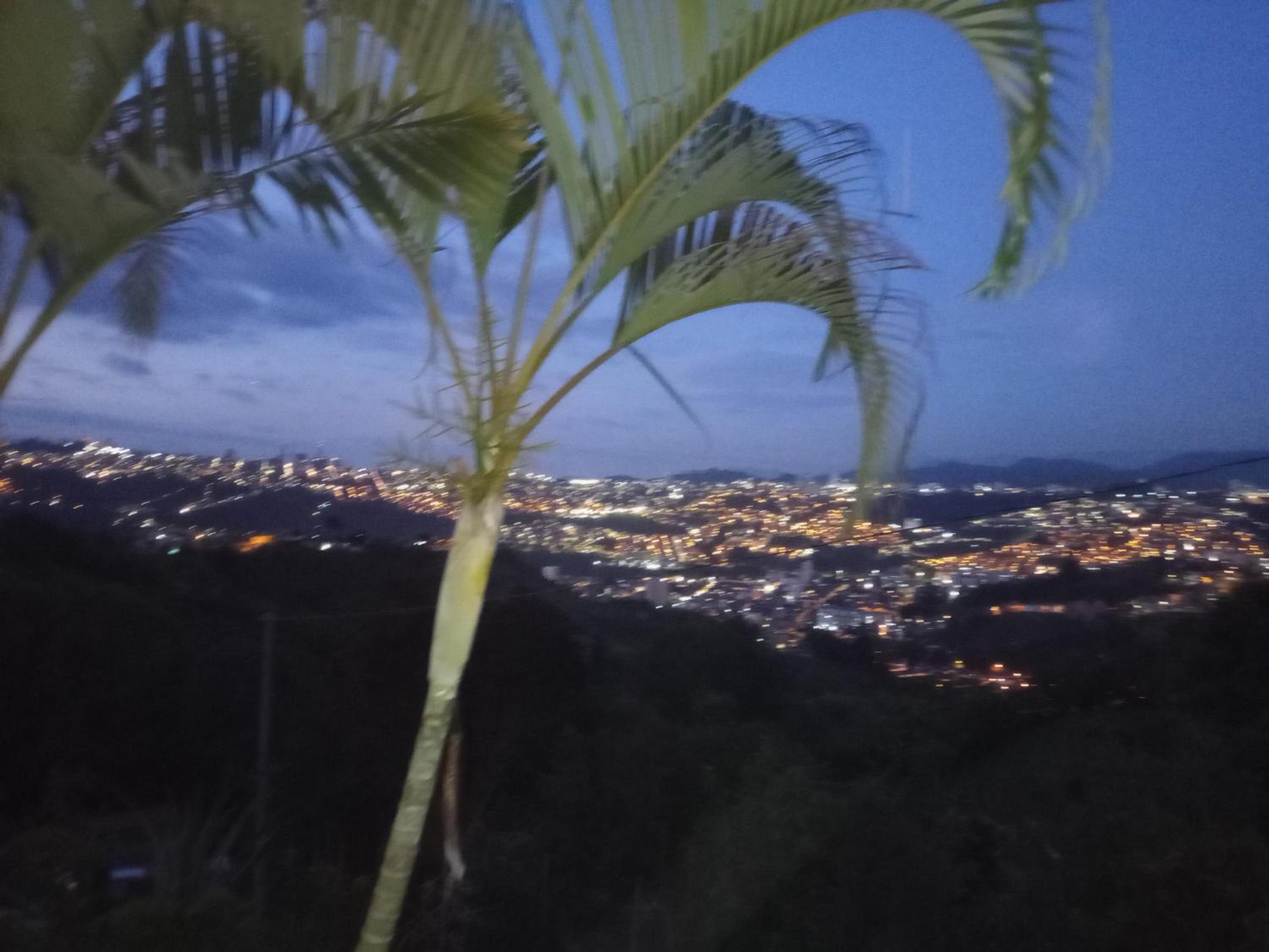 Bella vista