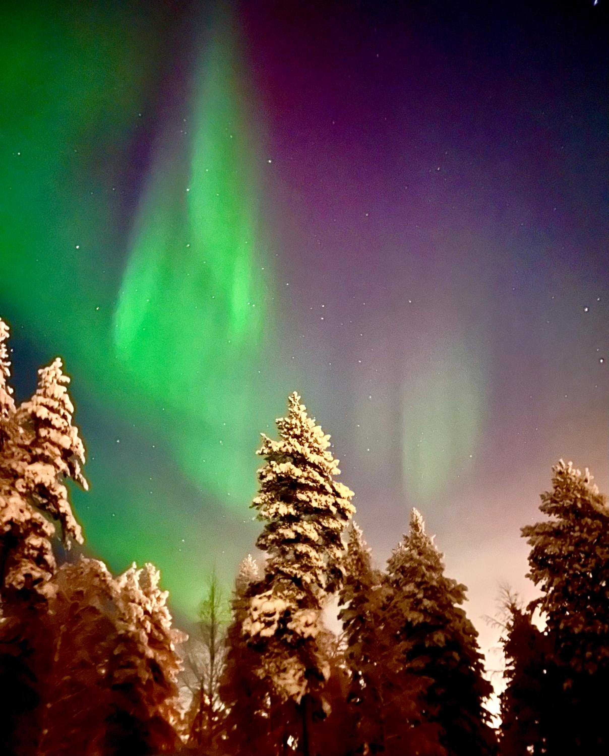 Aurora Lapland Ski in, forest view, 2 bdr, sauna, terrace, fireplace, wifi, Pyhä-Luosto National Park