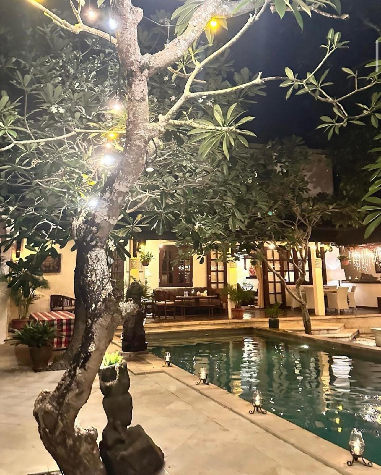 Villa Gadja Bali view 5