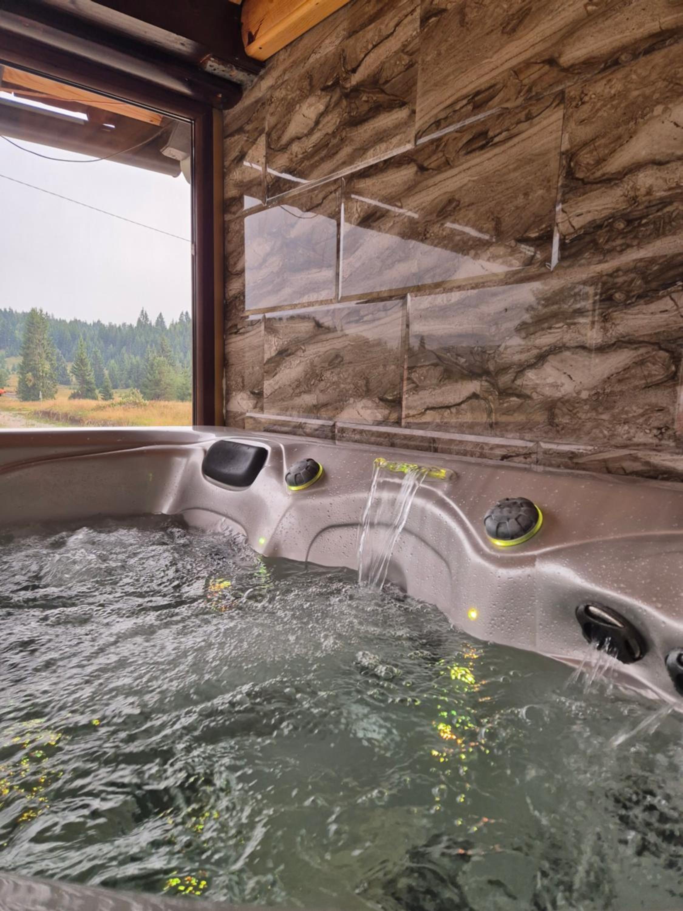 Luxury Villa Dimitrijević SPA view 4