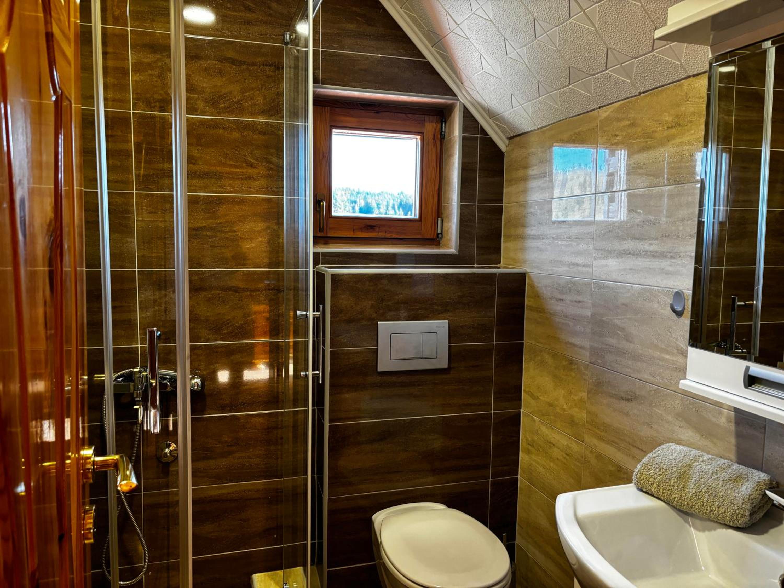 Luxury Villa Dimitrijević SPA view 5