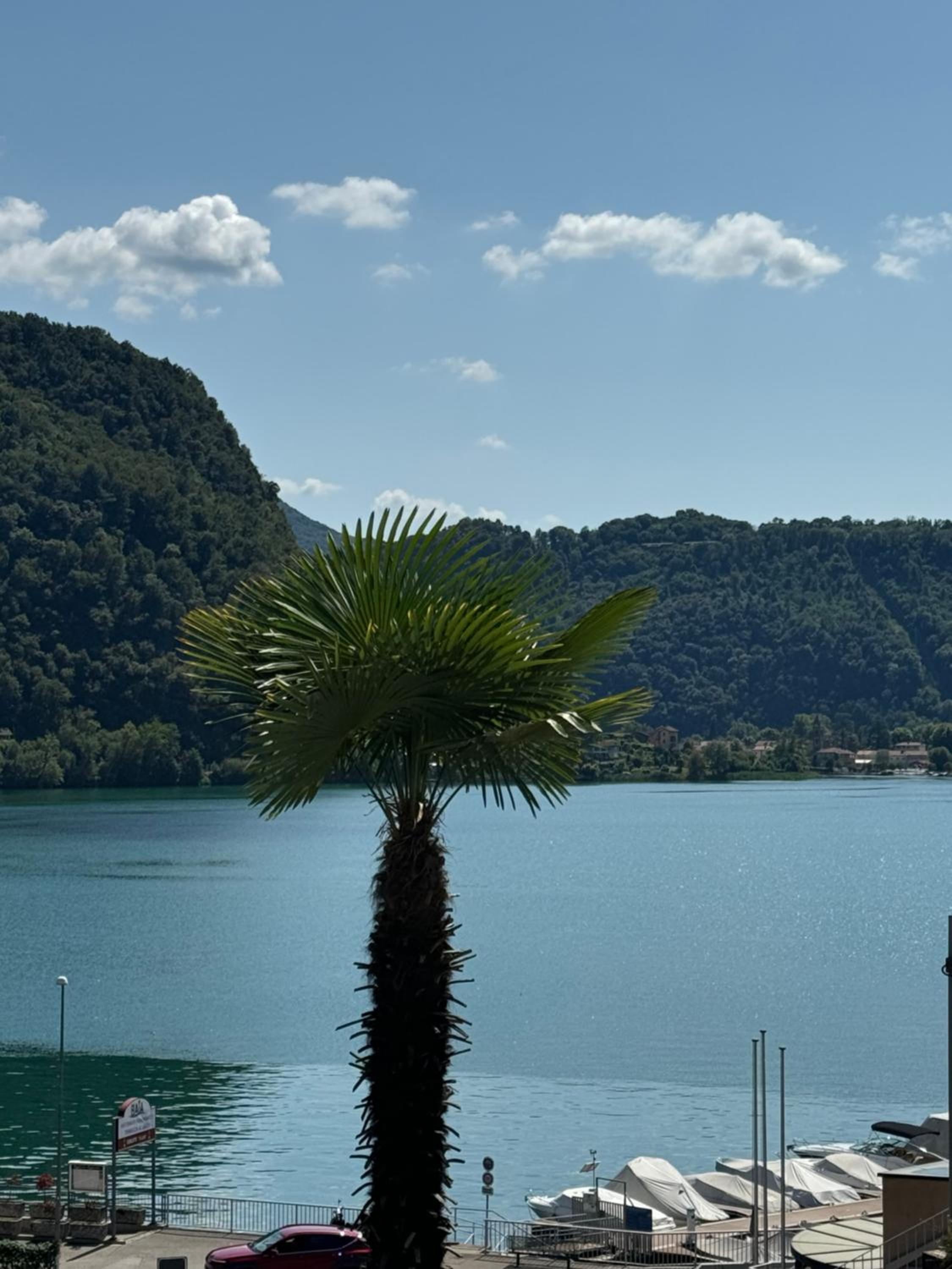 Neue Gartenwohnung mit Sicht auf den Luganersee