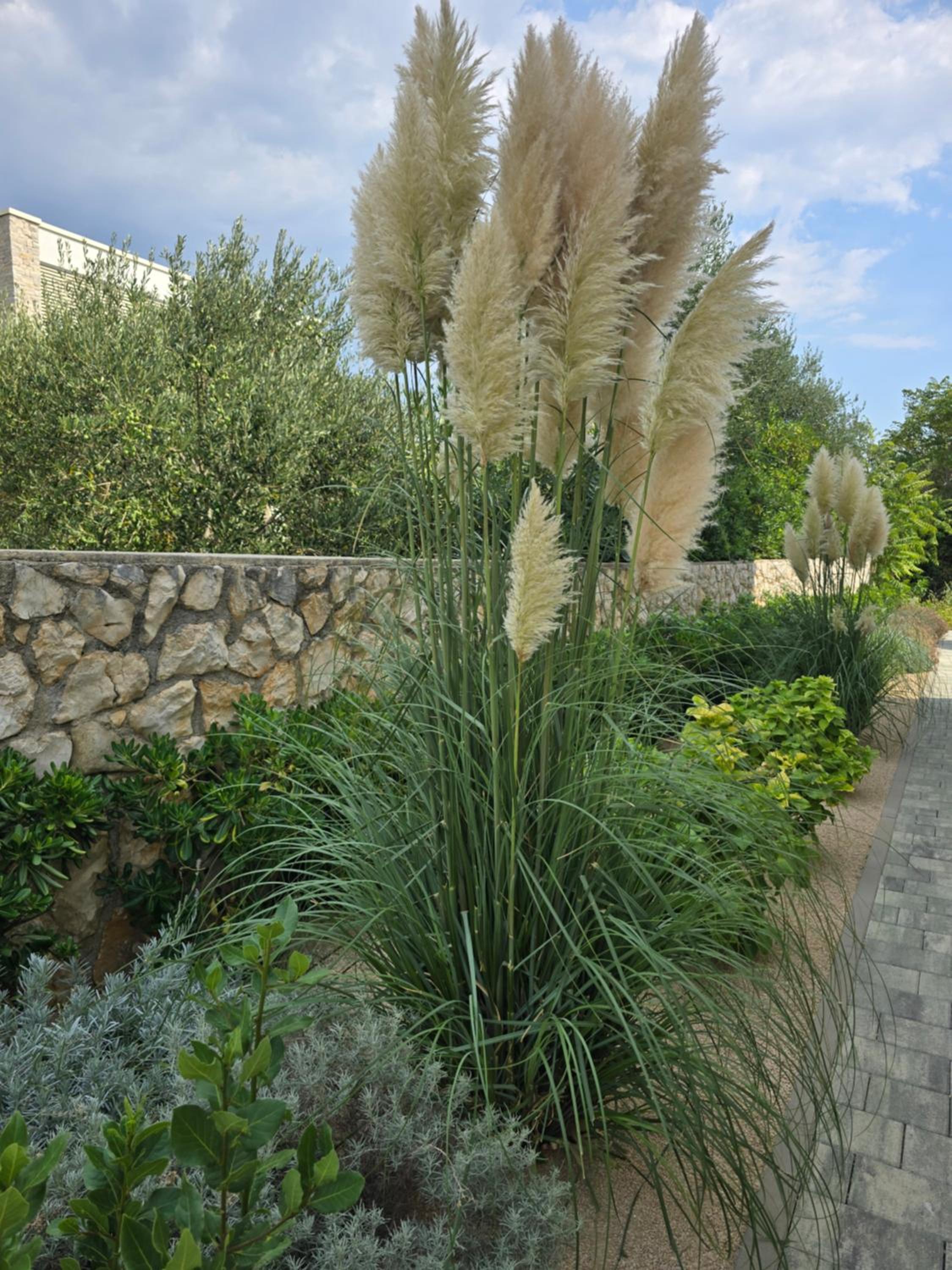 Rimac Apartments