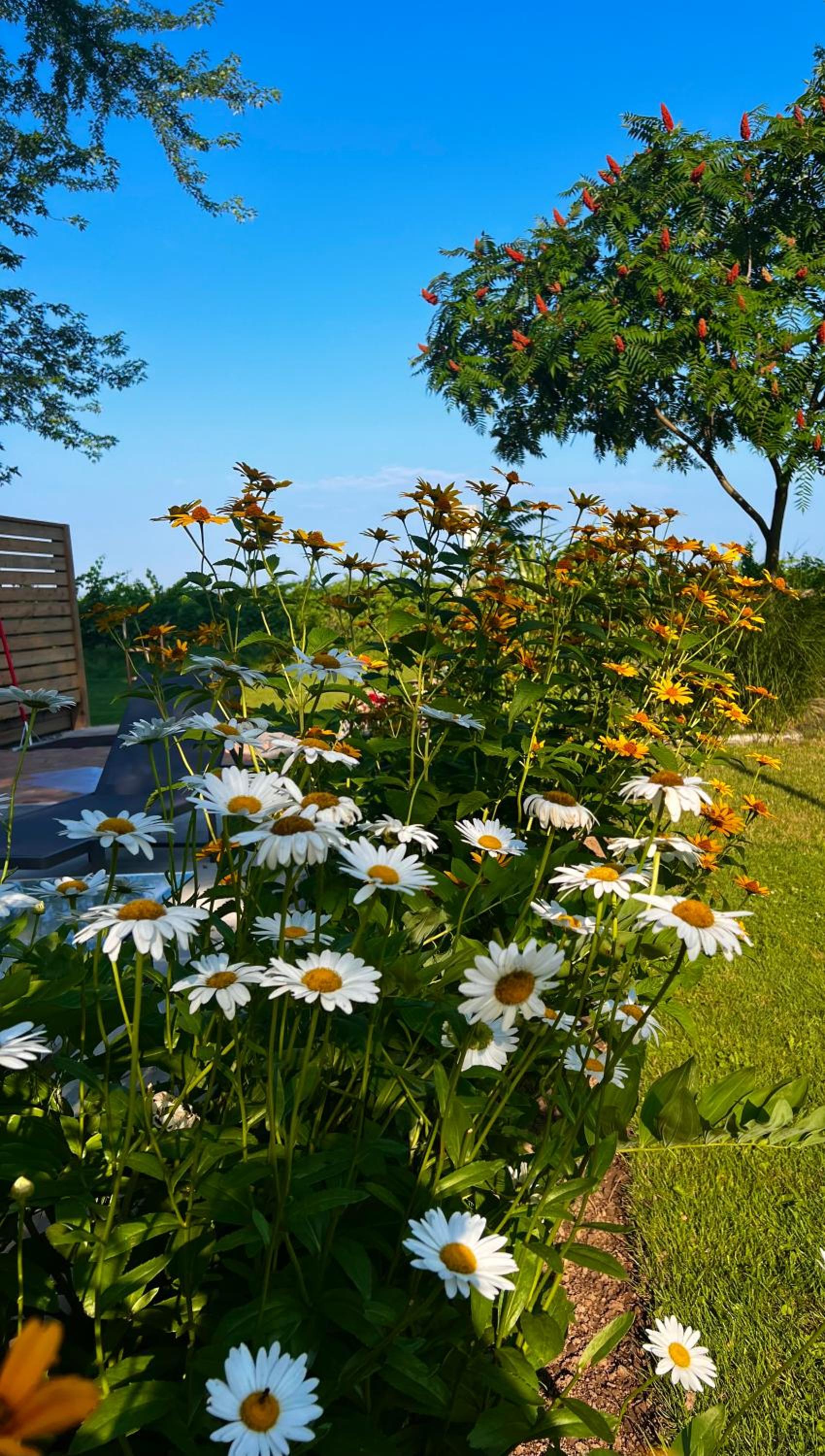 Sunset Suites in Niagara Wine Country
