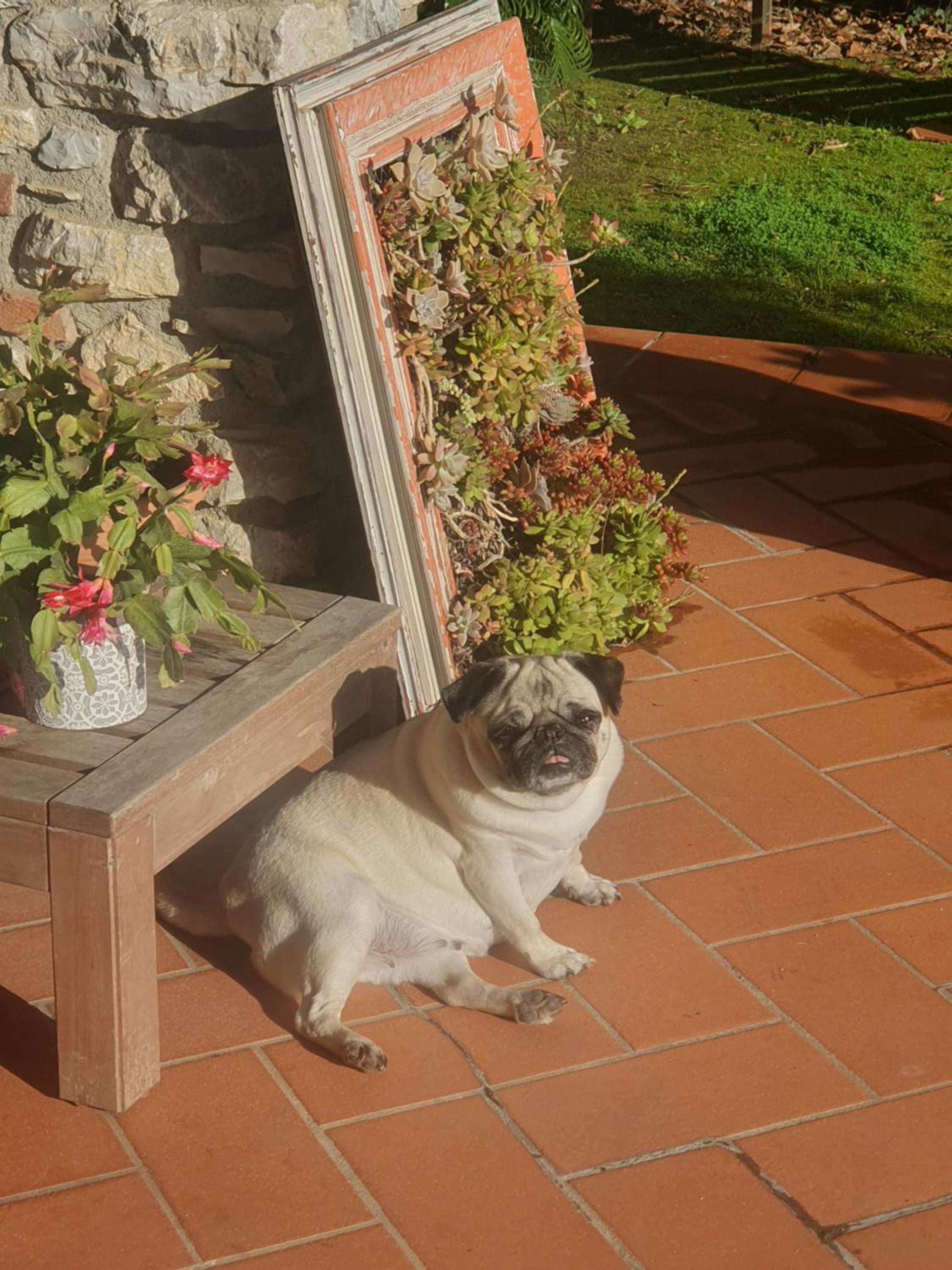 Pietra E Glicine B&B