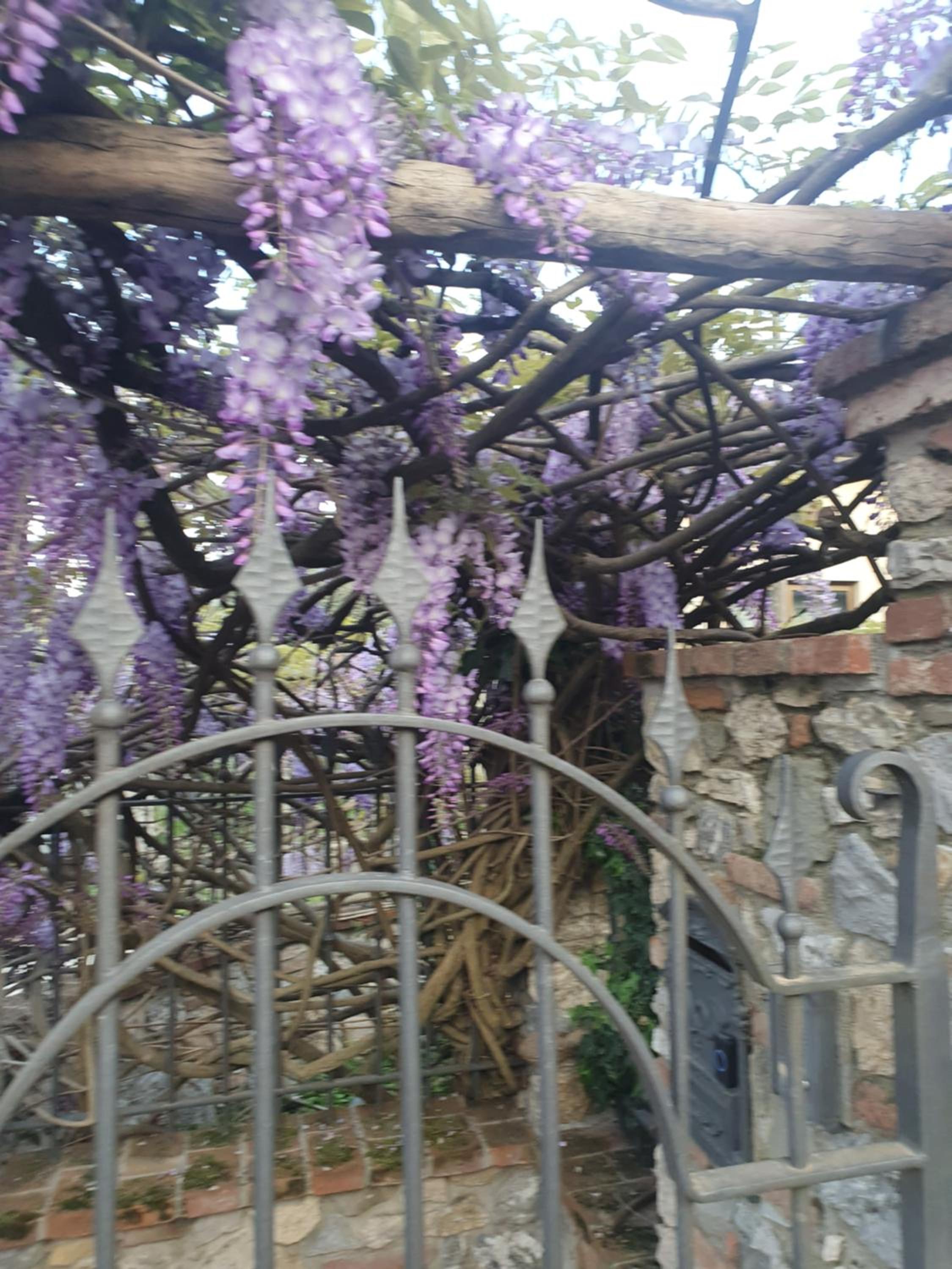 Pietra E Glicine B&B